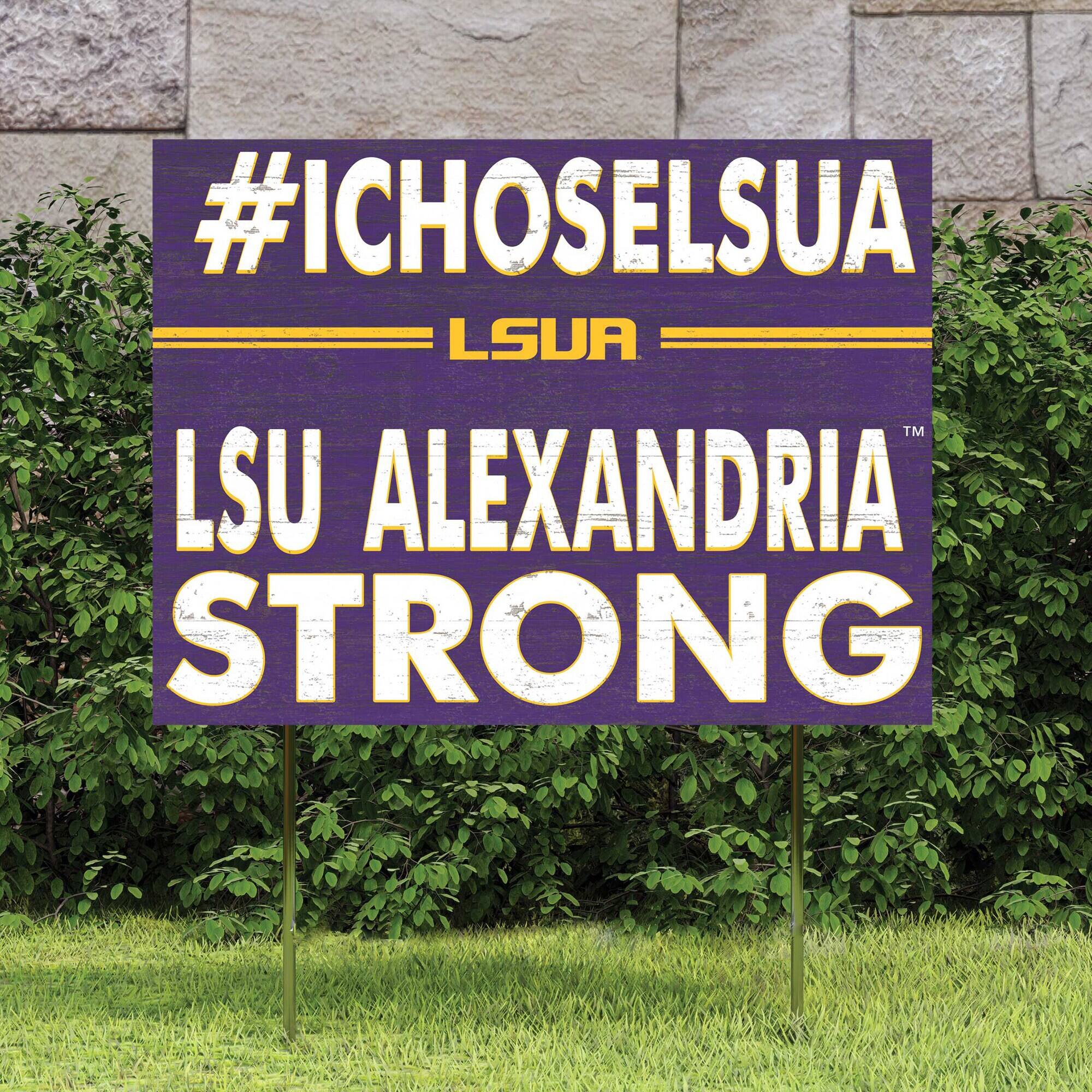 #ICHOSLSUA  
LSU ALEXANDRIA  
STRONG