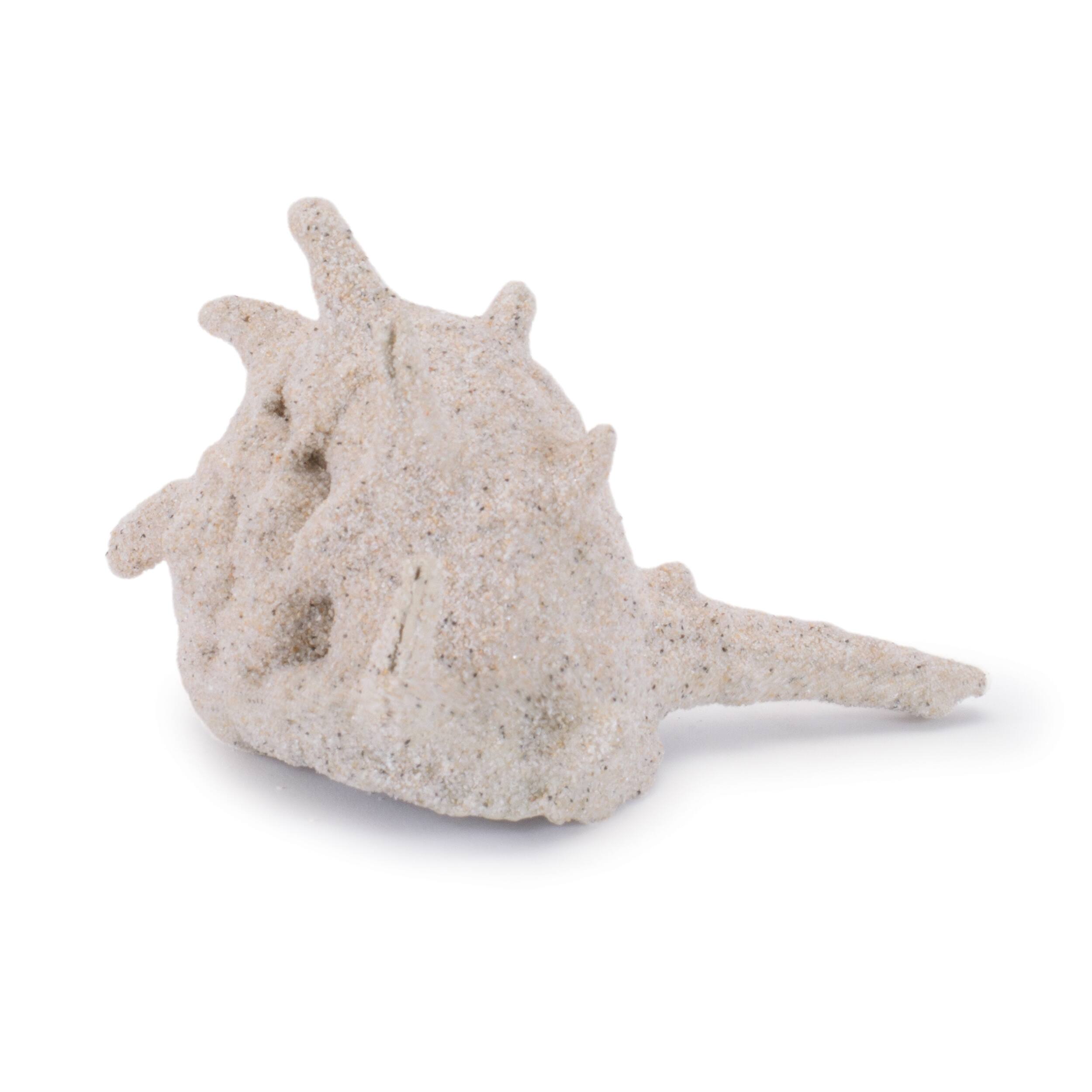 Left. BreeBe - Sea Shell Filler Decor (Set of 12) - Beige.