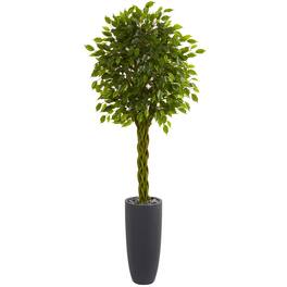BreeBe - 6.5' Braided Ficus Tree in Planter UV Res(Indoor/Outdoor) - Green