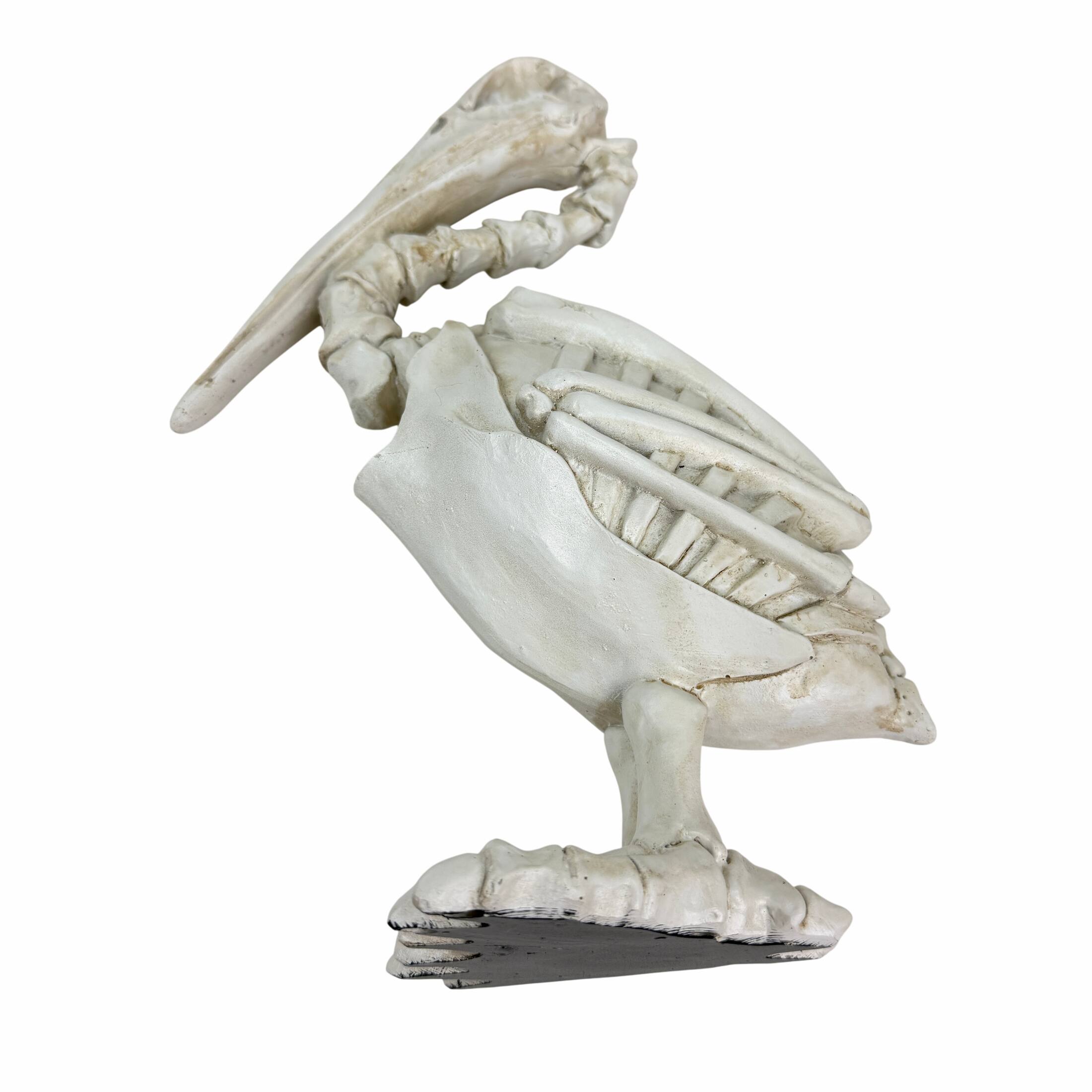 Alt View 1. Fancy That - Pelican Skeleton Statue White Distressed Resin Gothic Tabletop Decor 11.5 Inch - White.