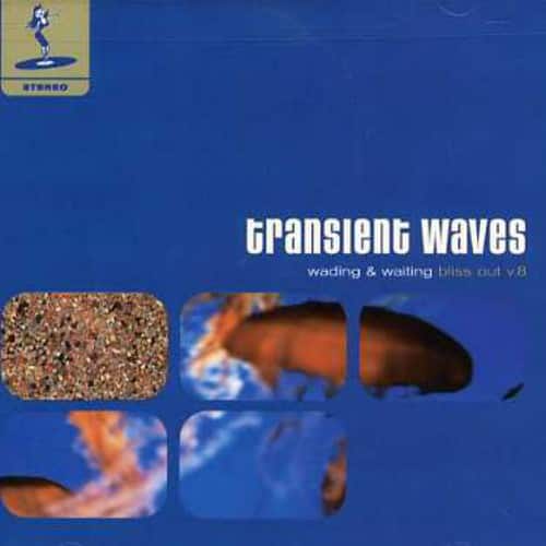 Transient Waves - Wading & Waiting: Bliss Out Vol.8   - COMPACT DISCS [CD] price history on PriceWatchPro