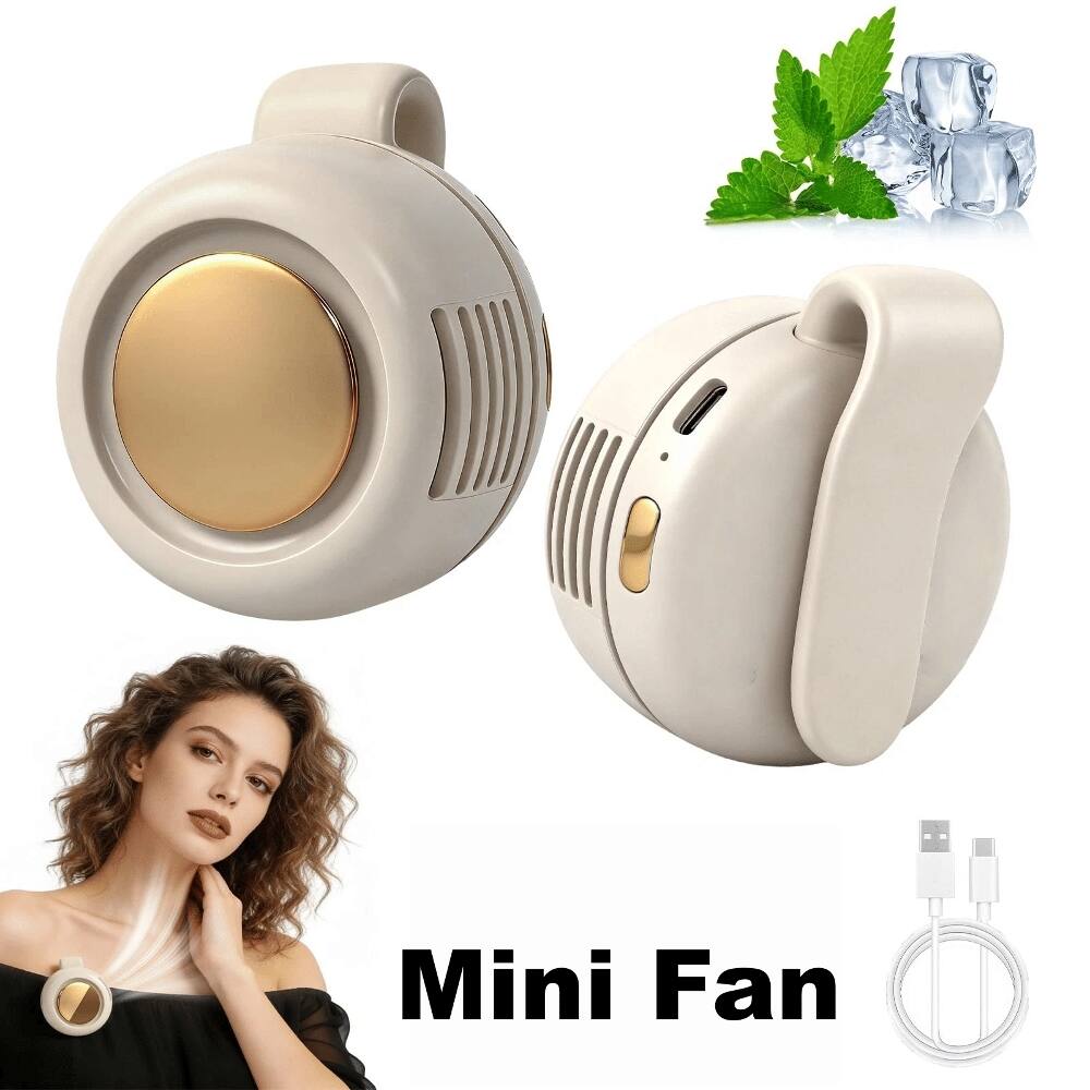 Mini Fan