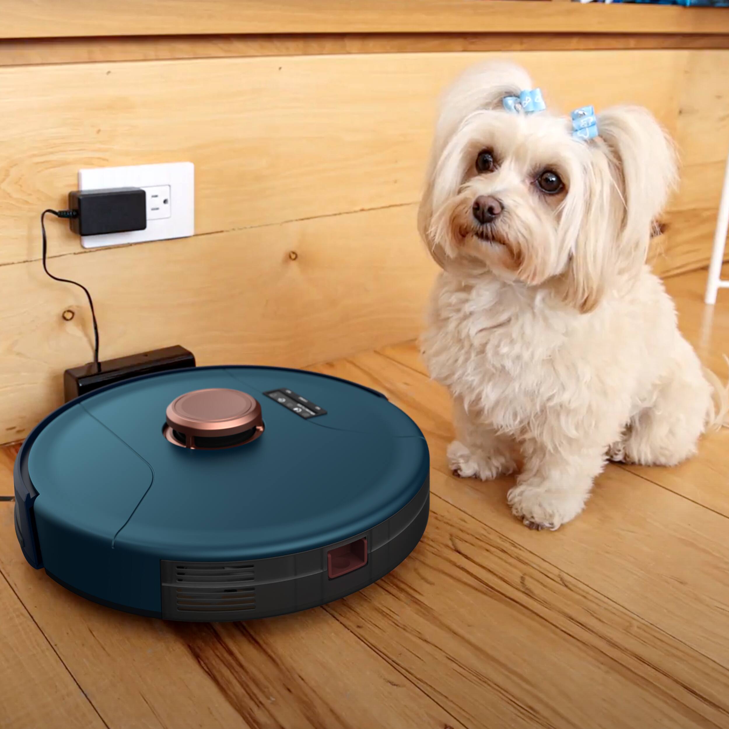 Roomba Vacuum Cleaner Roomba Good For Pet Hair IRobot Roomba 692 - Main Image