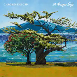 Chaos in the Cbd - A Deeper Life - VINYL LP