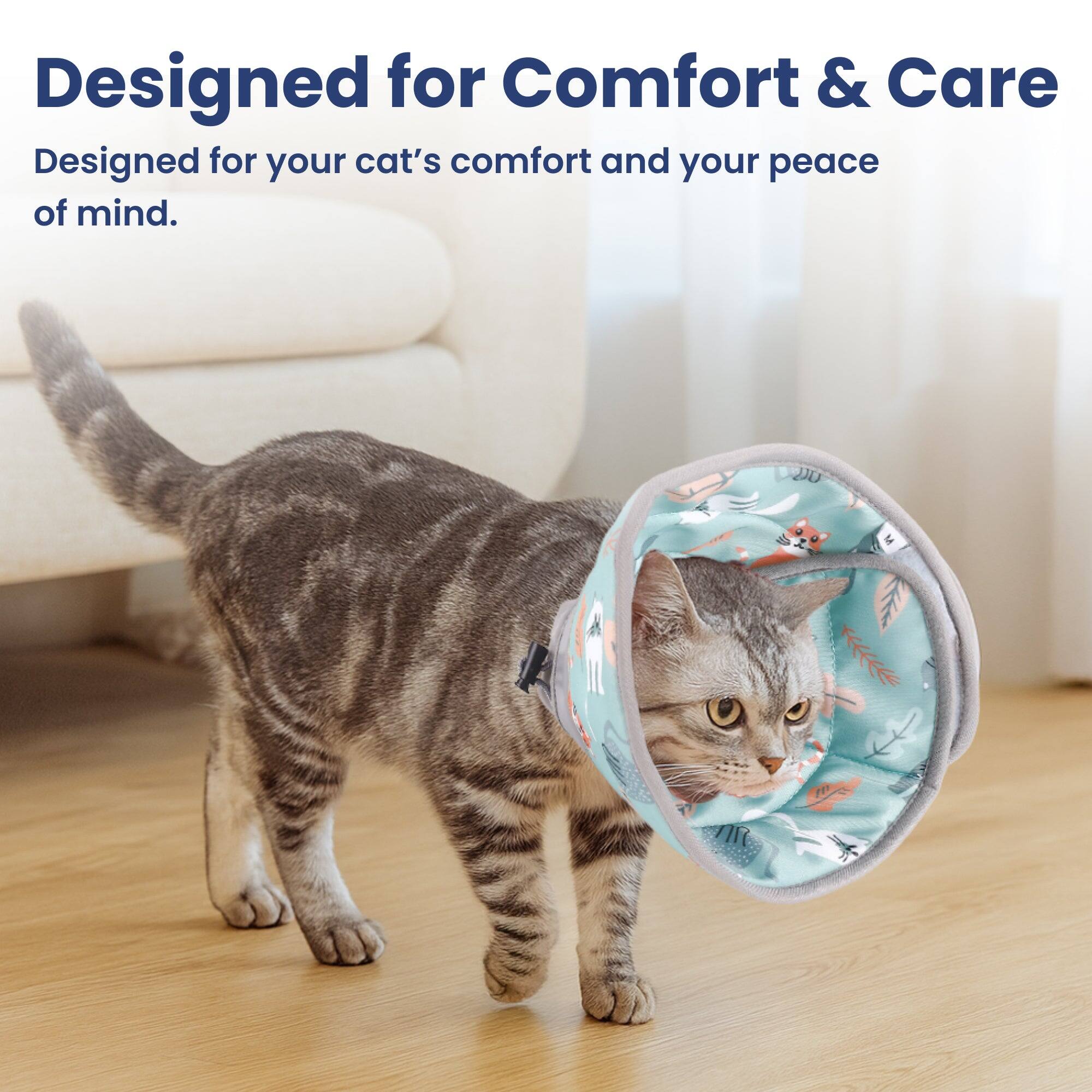 Designed for Comfort & Care  
Designed for your cat's comfort and your peace of mind.