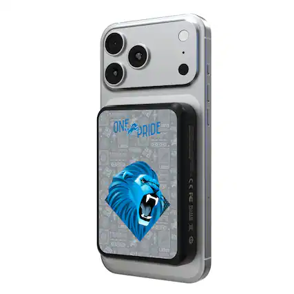 ONE PRIDE
LIONS
TERULA
LIONS DEE TEE CE FC
RoHS
1900 LIONS