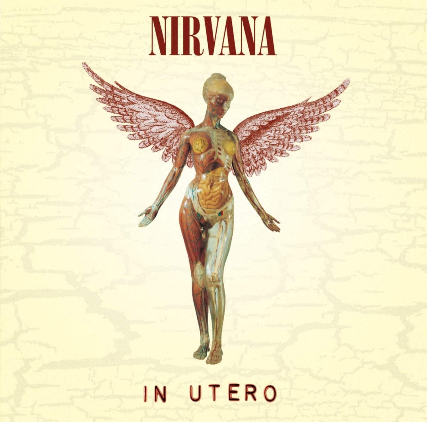 NIRVANA  
IN UTERO