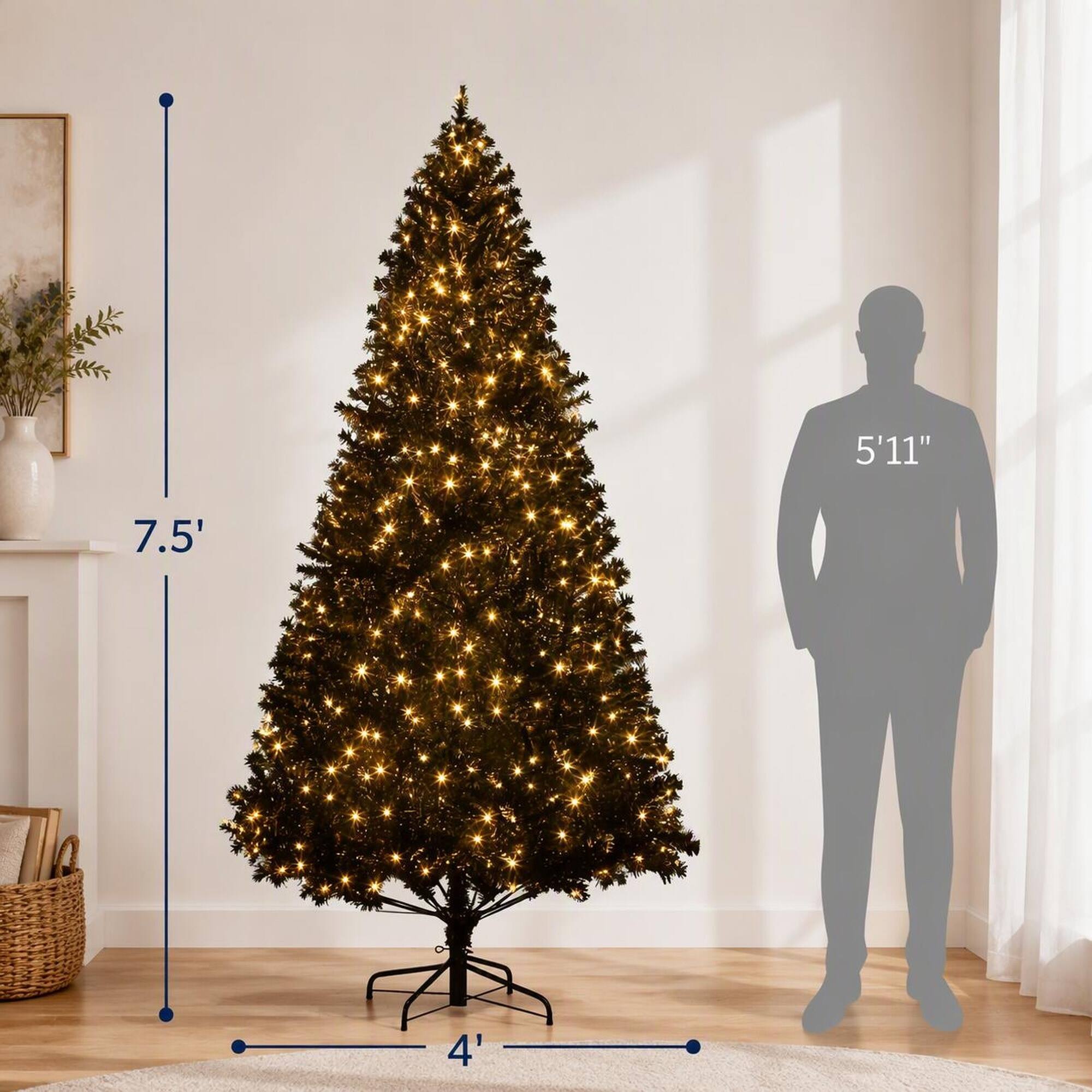 5'11"
7.5'
4'
