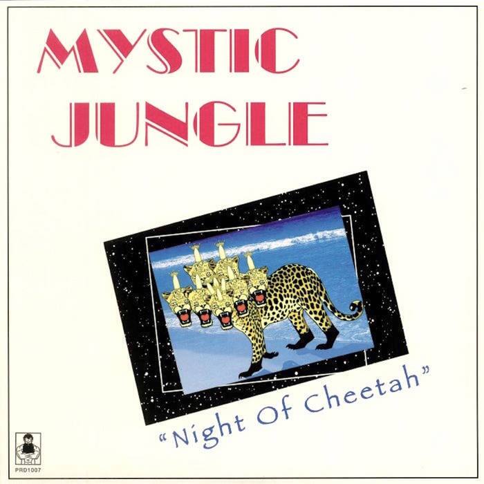 Night of Cheetah [LP] [VINYL]