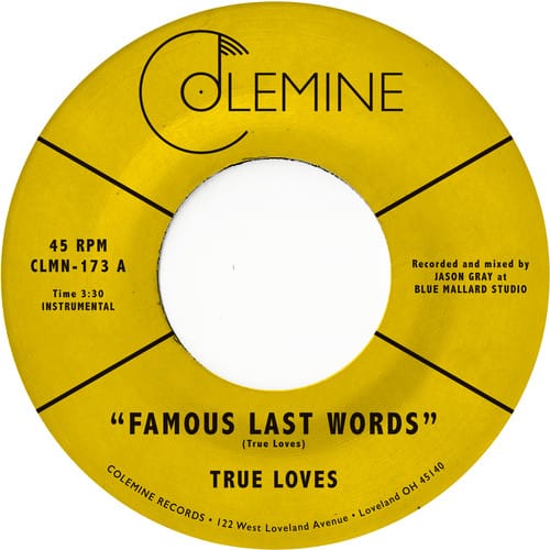Famous Last Words [LP] [VINYL]
