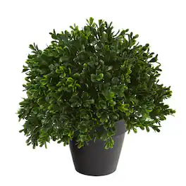 BreeBe - 10" Boxwood Topiary Plant UV Resistant (Indoor/Outdoor) - Green
