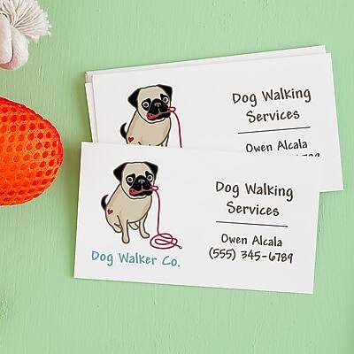 Dog Walking Services  
Owen Alcala  

Dog Walking Services  
Owen Alcala  
Dog Walker Co.  
(555) 345-6789