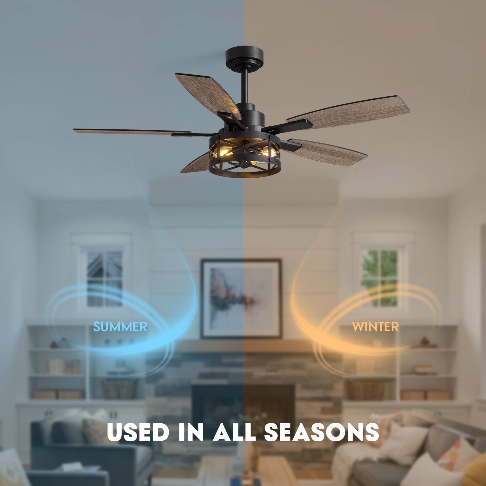 SUMMER  
WINTER  
USED IN ALL SEASONS