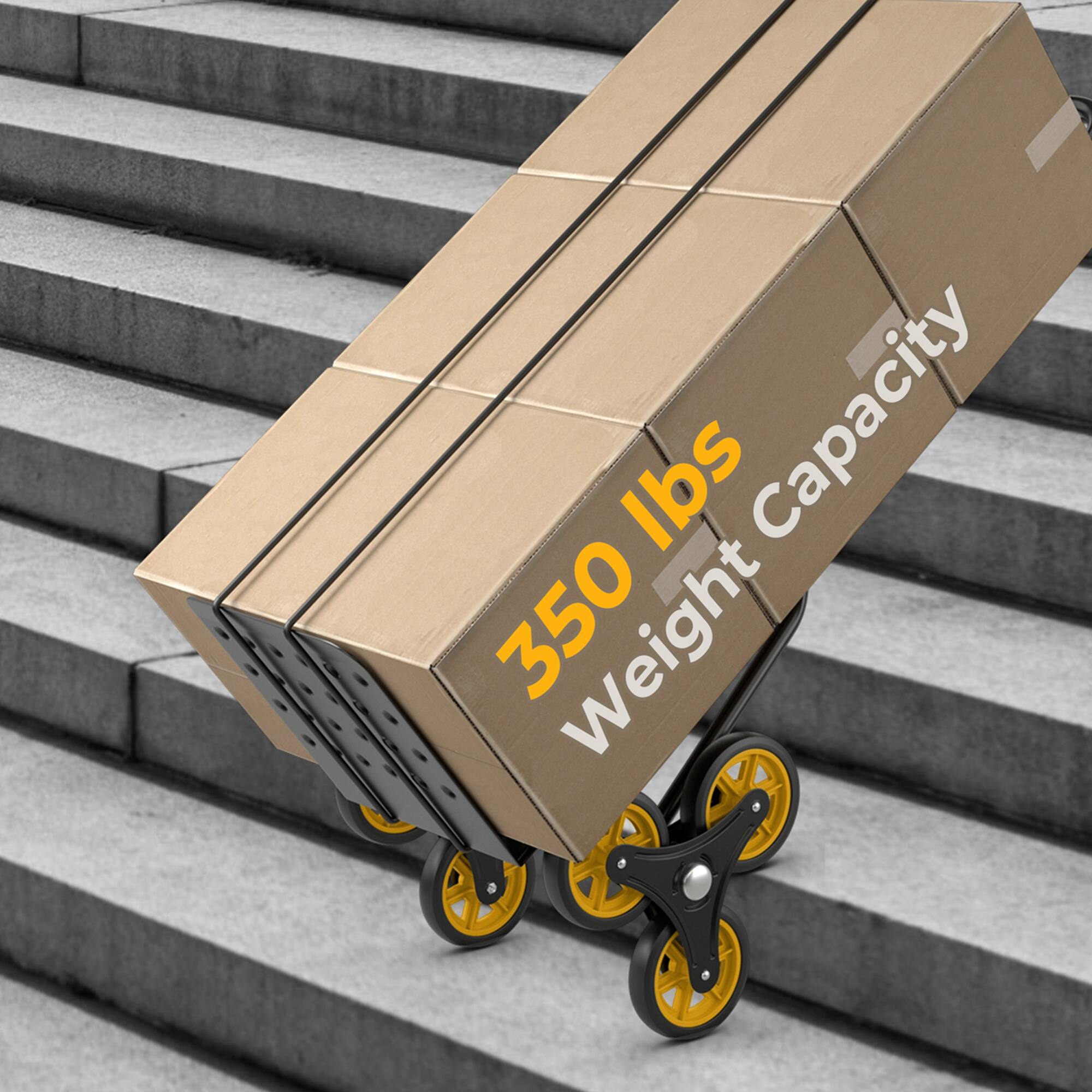 The text on the image reads "350 lb capacity."