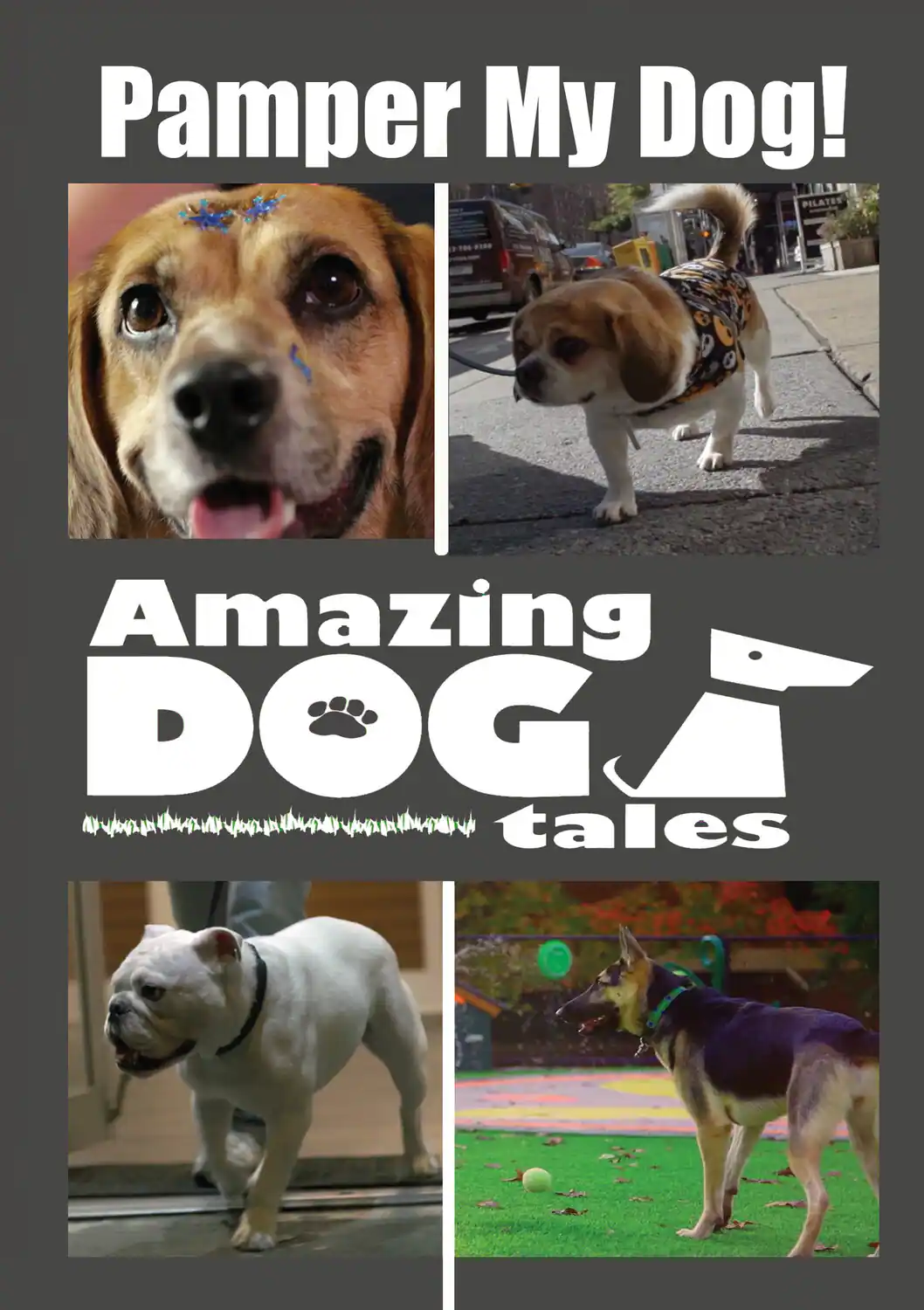 Amazing Dog Tales Pamper My Dog! DVD - Best Buy