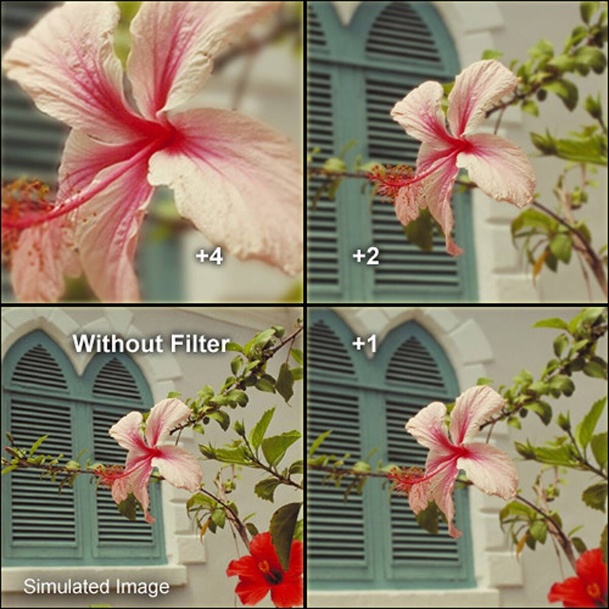 +4  
+2  
Without Filter  
+1  
Simulated Image