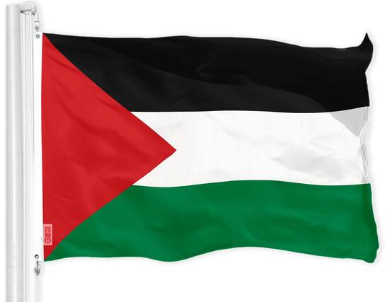 Front. G128 - Palestine Palestinian Flag 3x5 ft Printed 150D Polyester Indoor/Outdoor with Brass Grommets - Assorted Colors.