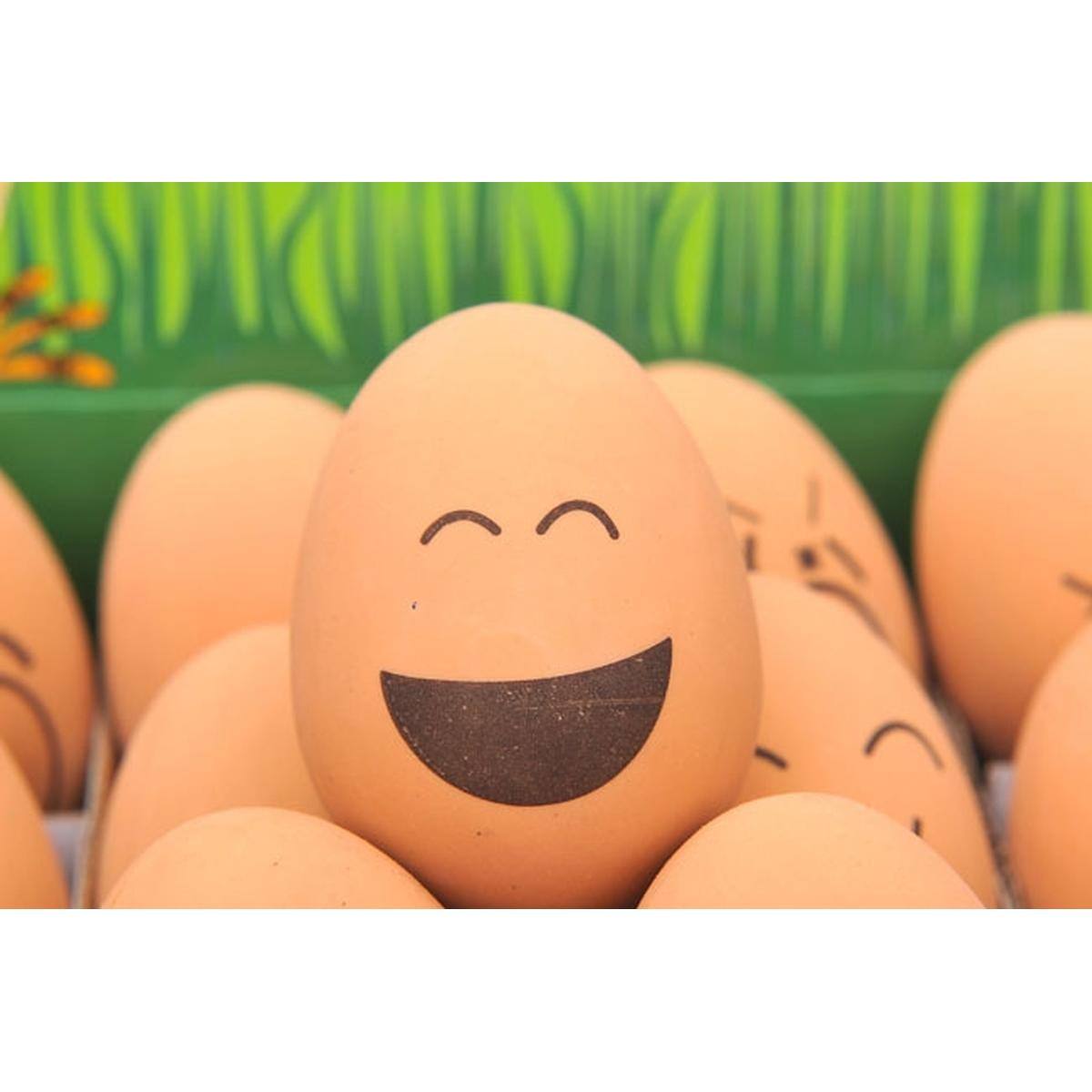 Back. JuzToys - 24 Pieces Realistic Bouncing Easter Eggs with Emoticon Faces, Bouncy Rubber Toy Food Pretend Eggs Playset, Fake Eggs - Bown.