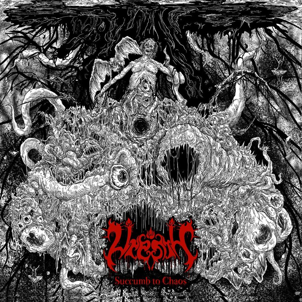 Front. Succumb to Chaos [LP].