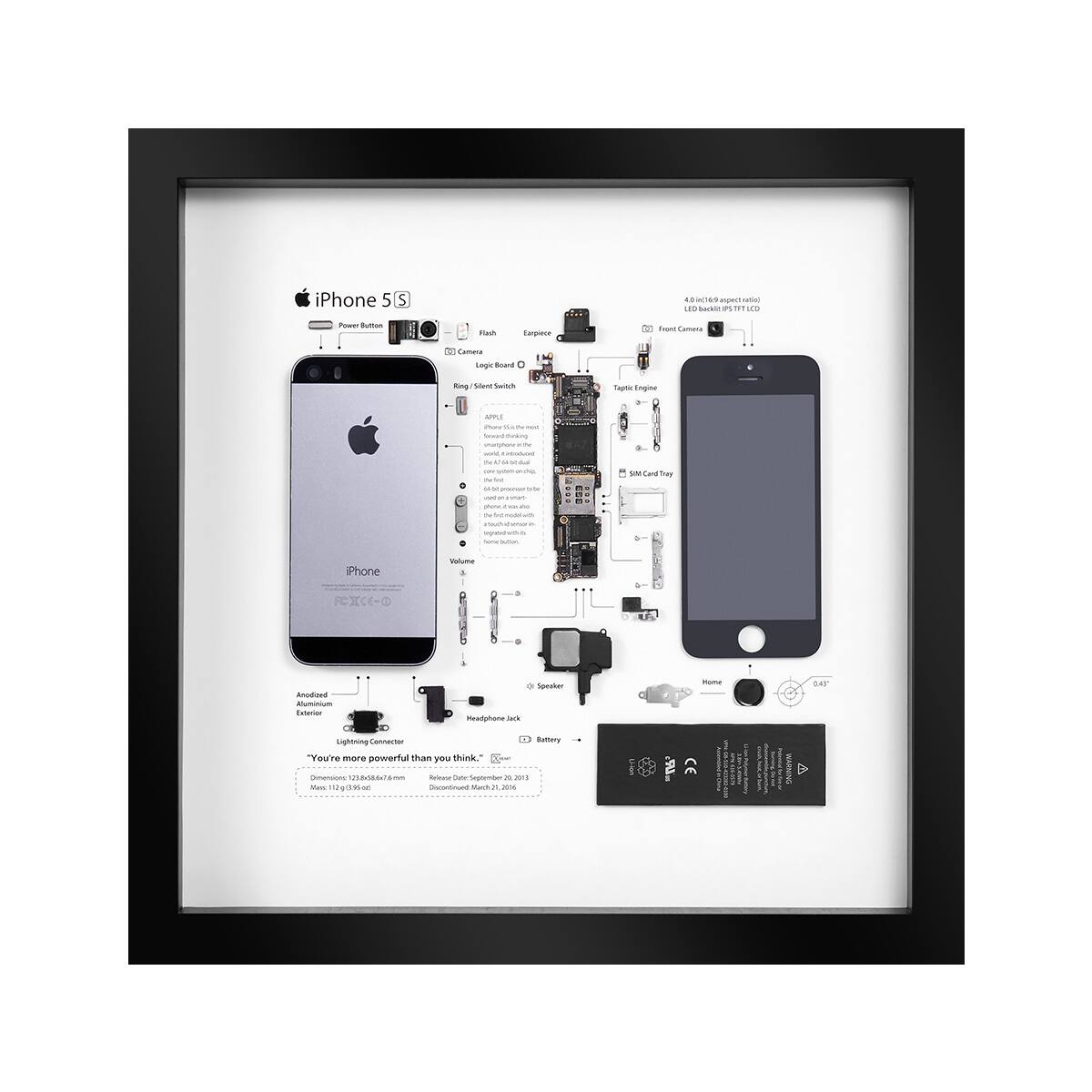 iPhone 5S

- Power Button
- Flash
- Camera
- Logic Board
- Ring/Silent Switch
- Volume
- Speaker
- Battery
- Home
- Lightning Connector
- Headphone Jack
- Amplified
- External
- LED Flash (ISP FIFILED)
- Front Camera
- Taptic Engine
- SIM Card Tray
- G47

"You're more powerful than you think"

Dimensions: 123.6 x 58.6 x 7.6 mm
Weight: 112 g (3.93 oz)
Release Date: September 20, 2013
Discontinued: March 21, 2014