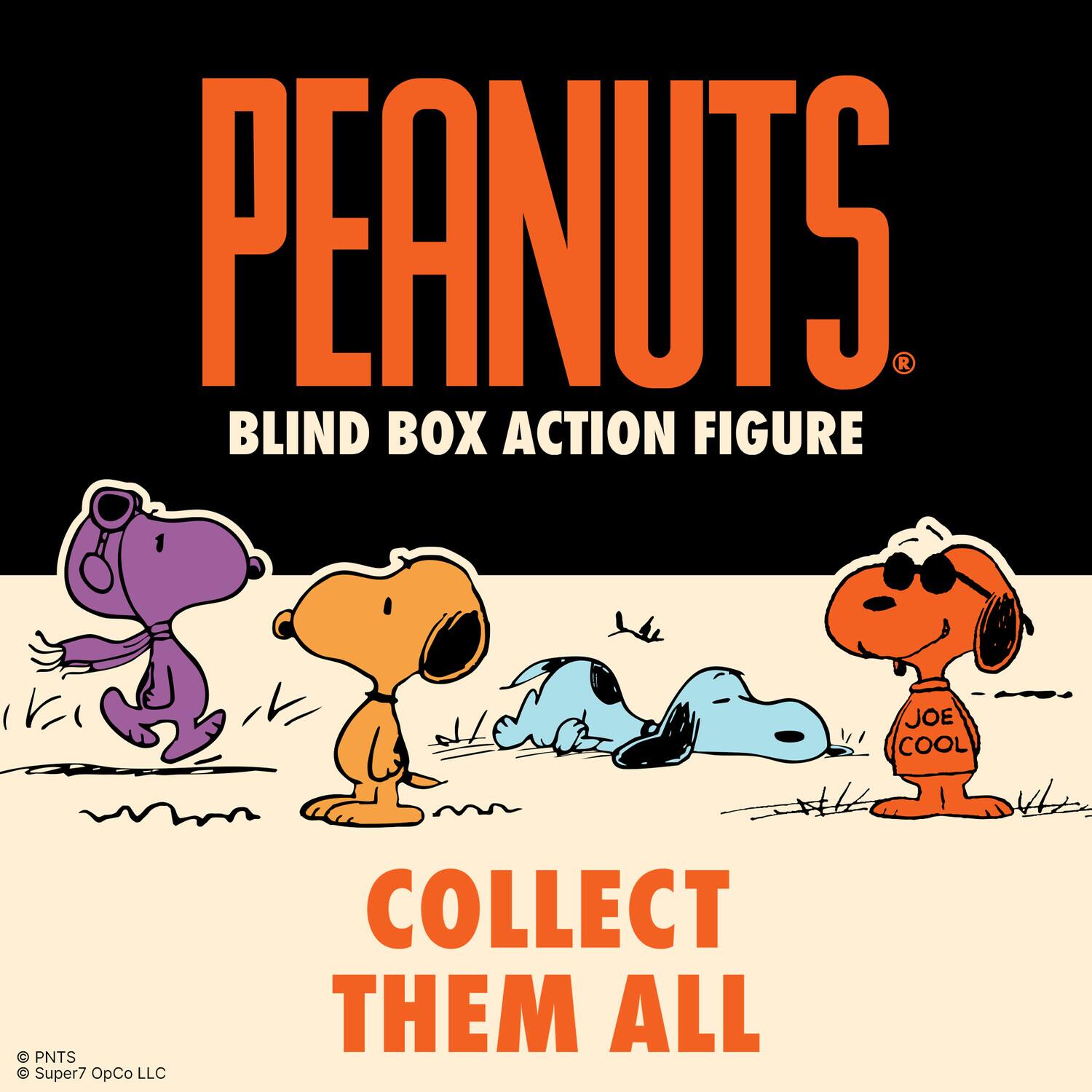 PEANUTS  
BLIND BOX ACTION FIGURE  

COLLECT THEM ALL  

PNTS  
Super7 OpCo LLC