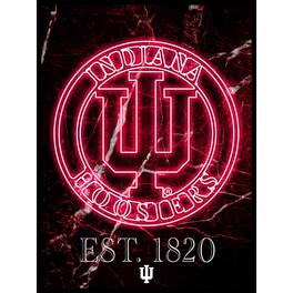 Fan Creations - Indiana Hoosiers 12'' x 16'' Framed Circle Logo Print - Black
