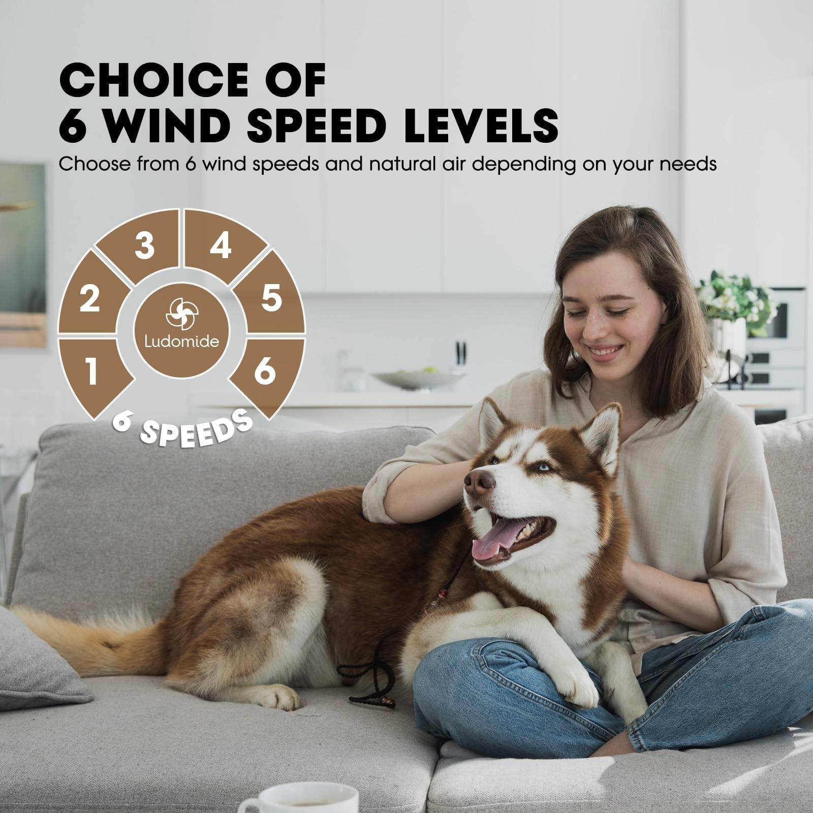 CHOICE OF 6 WIND SPEED LEVELS  
Choose from 6 wind speeds and natural air depending on your needs  

6 SPEEDS