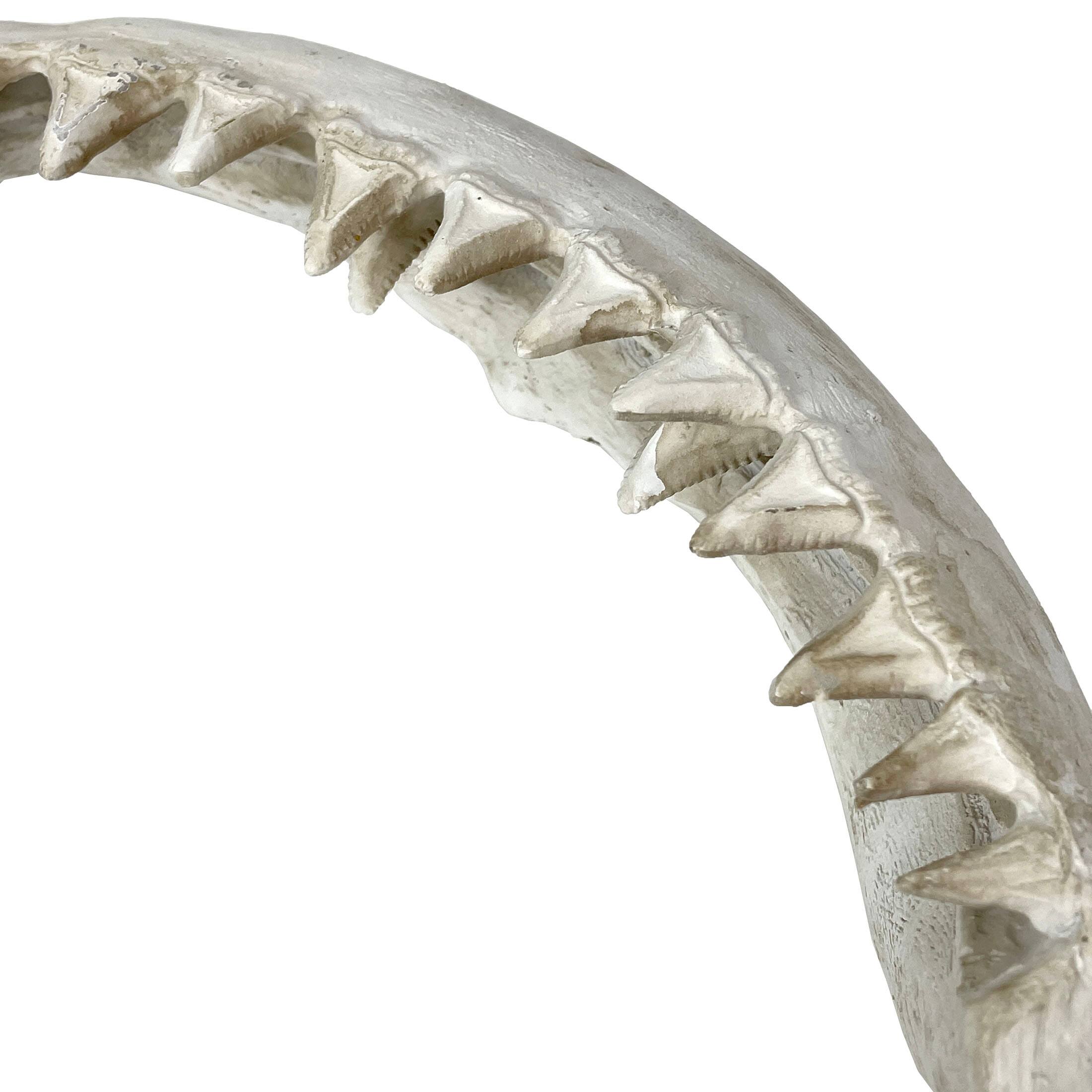 Alt View 2. Chesapeake Bay - Replica Shark Jaw Wall Sculpture Resin Coastal Nautical Decor 16" Off-White Art - Off-white.