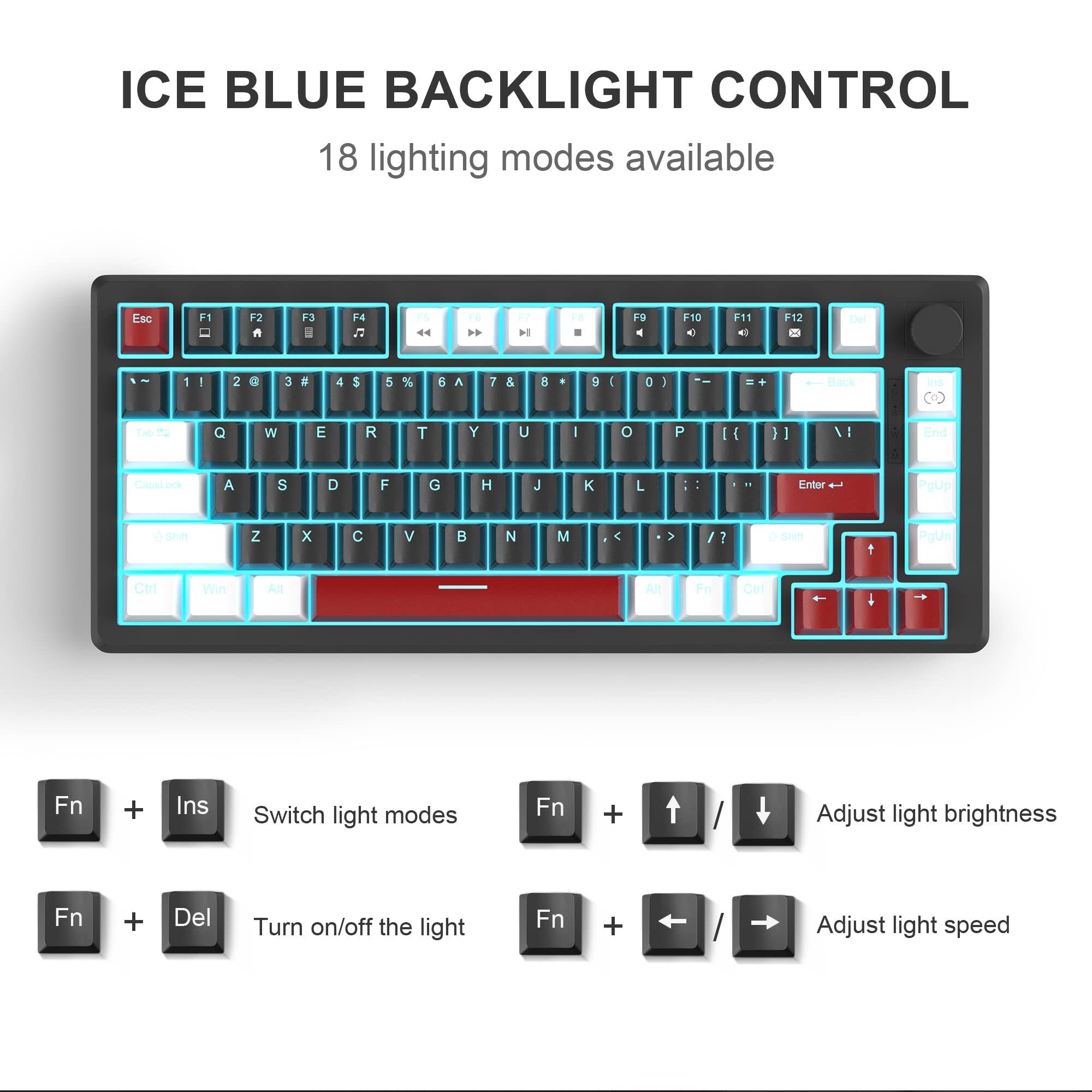 ICE BLUE BACKLIGHT CONTROL  
18 lighting modes available  

Esc F1 F2 F3 F4 F5 F6 F7 F8 F9 F10 F11 F12 Del 1 2 3 4 5 6 7 8 9 0 - = Backspace Tab Q W E R T Y U I O P [ ] \ Enter A S D F G H J K L ; ' CapsLock Shift Z X C V B N M , . /  

Fn + Ins Switch light modes  
Fn + Del Turn on/off the light  
Fn + ↑/↓ Adjust light brightness  
Fn + ←/→ Adjust light speed