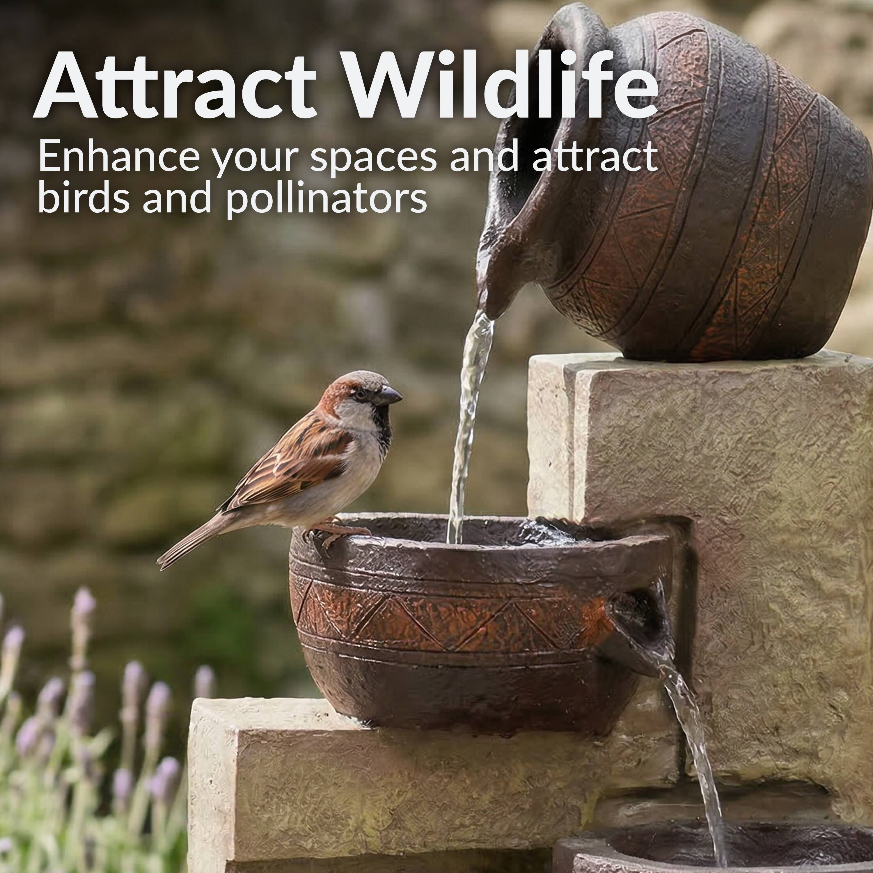 Attract Wildlife  
Enhance your spaces and attract birds and pollinators