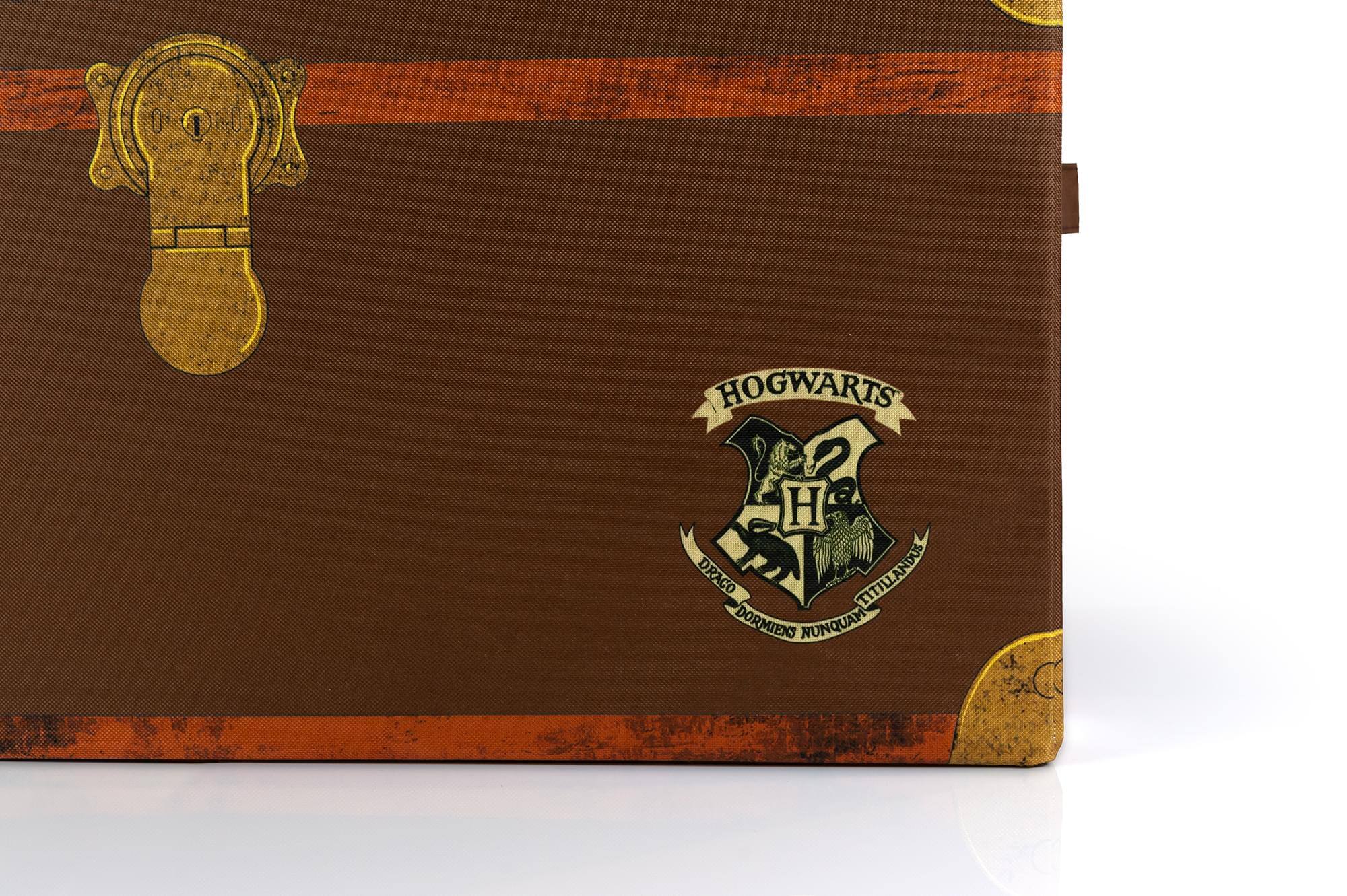 HOGWARTS  
DRACO TITILLANDUS DORMIENS NUNQUAM