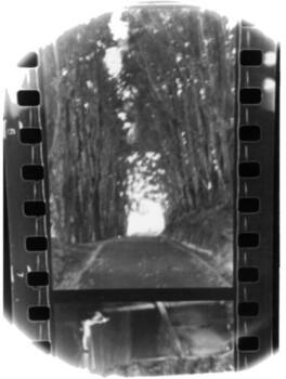 Seahaven - Winter Forever - VINYL LP