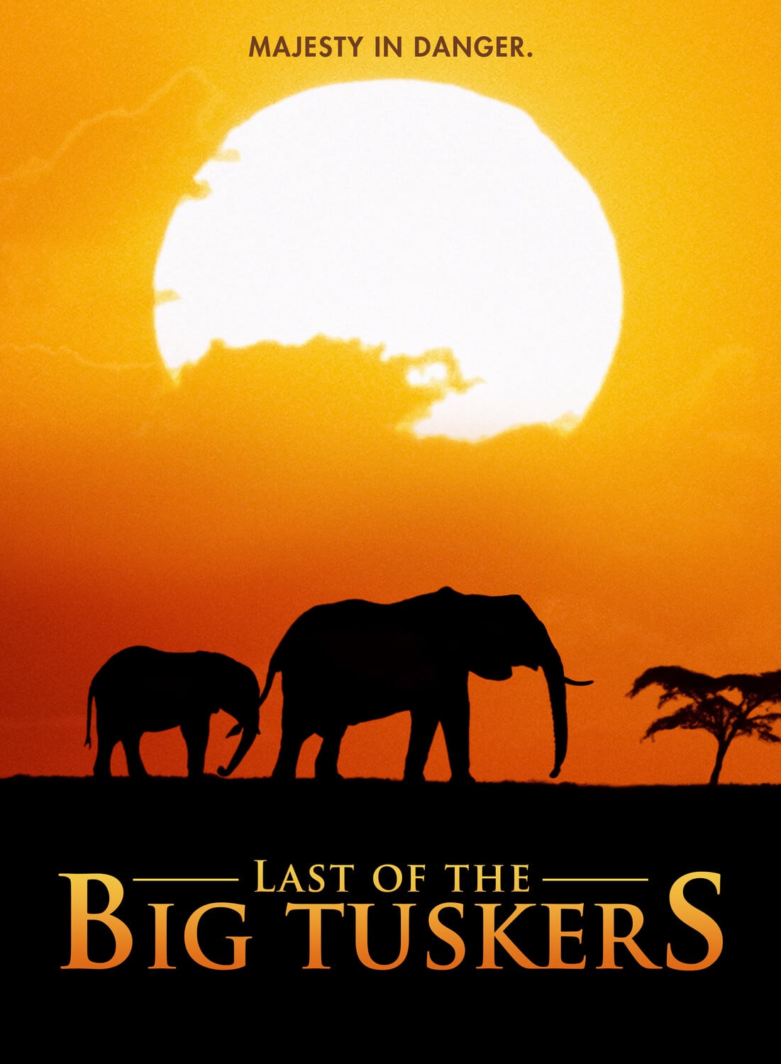 Last Of The Big Tuskers  - DVD