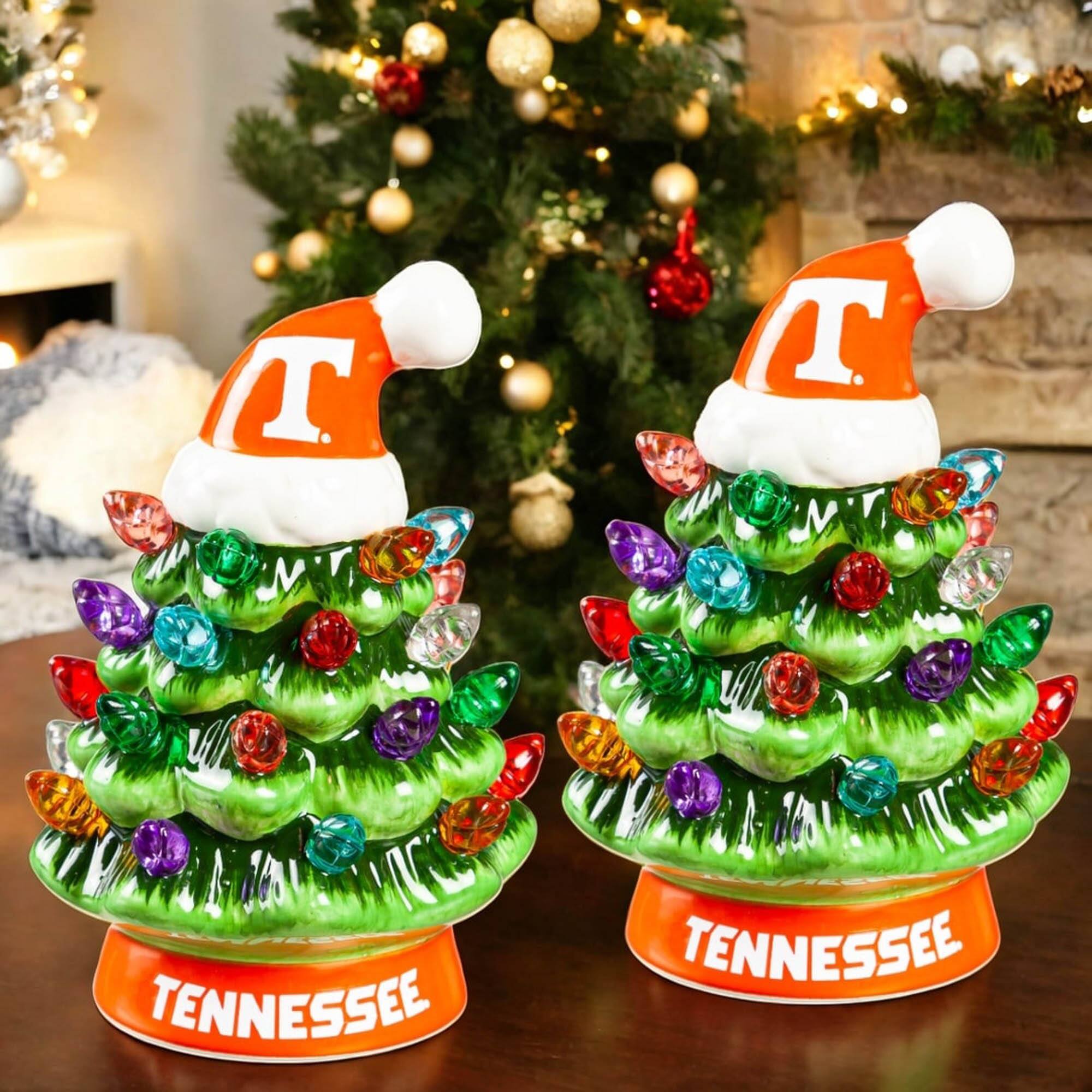 TENNESSEE  
TENNESSEE