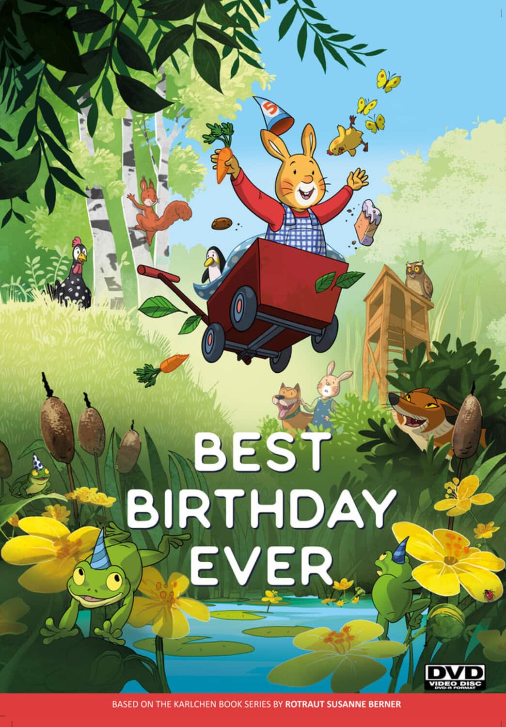 Best Birthday Ever  - DVD