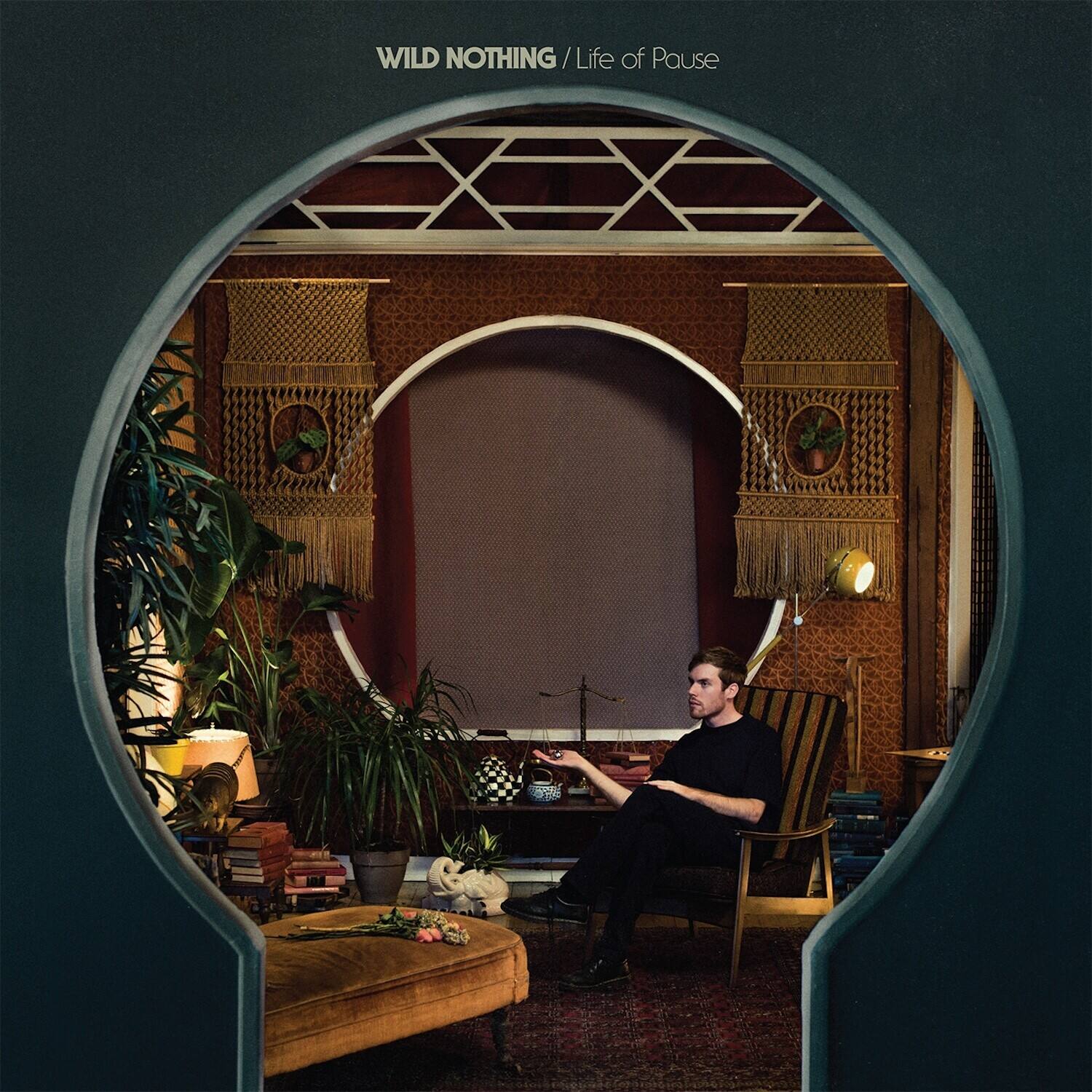 Wild Nothing - Life of Pause - White   - VINYL LP price history on PriceWatchPro