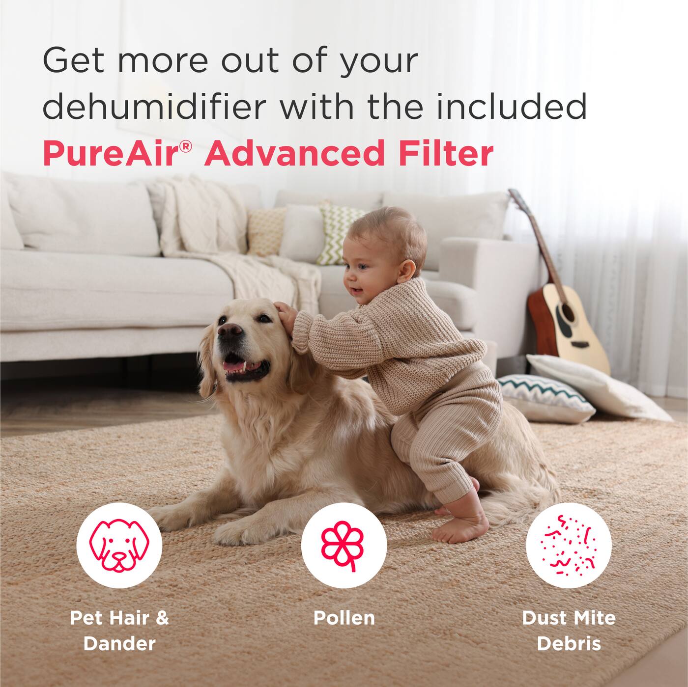 Get more out of your dehumidifier with the included PureAir® Advanced Filter

- Pet Hair & Dander
- Pollen
- Dust Mite Debris