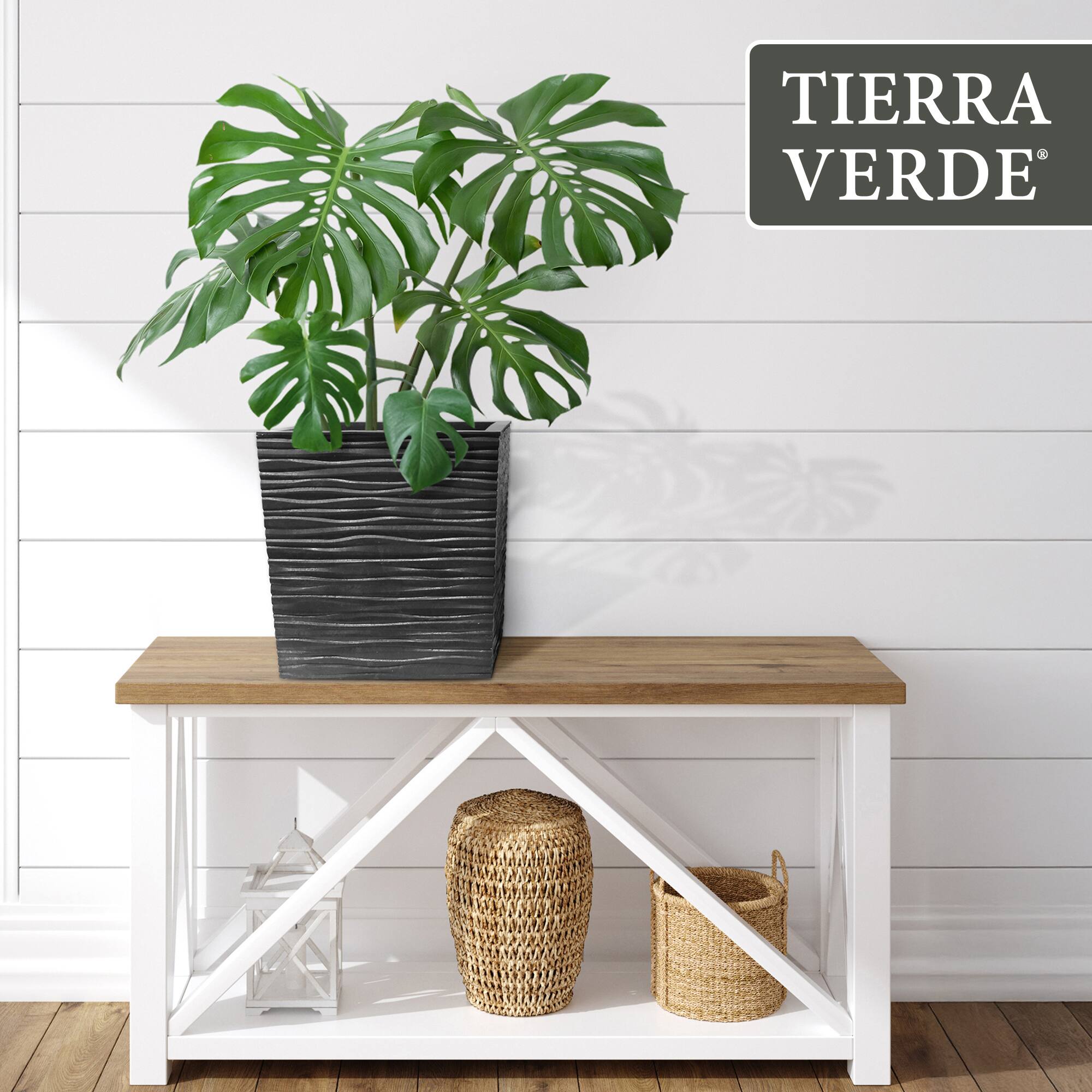 TIERRA VERDE
