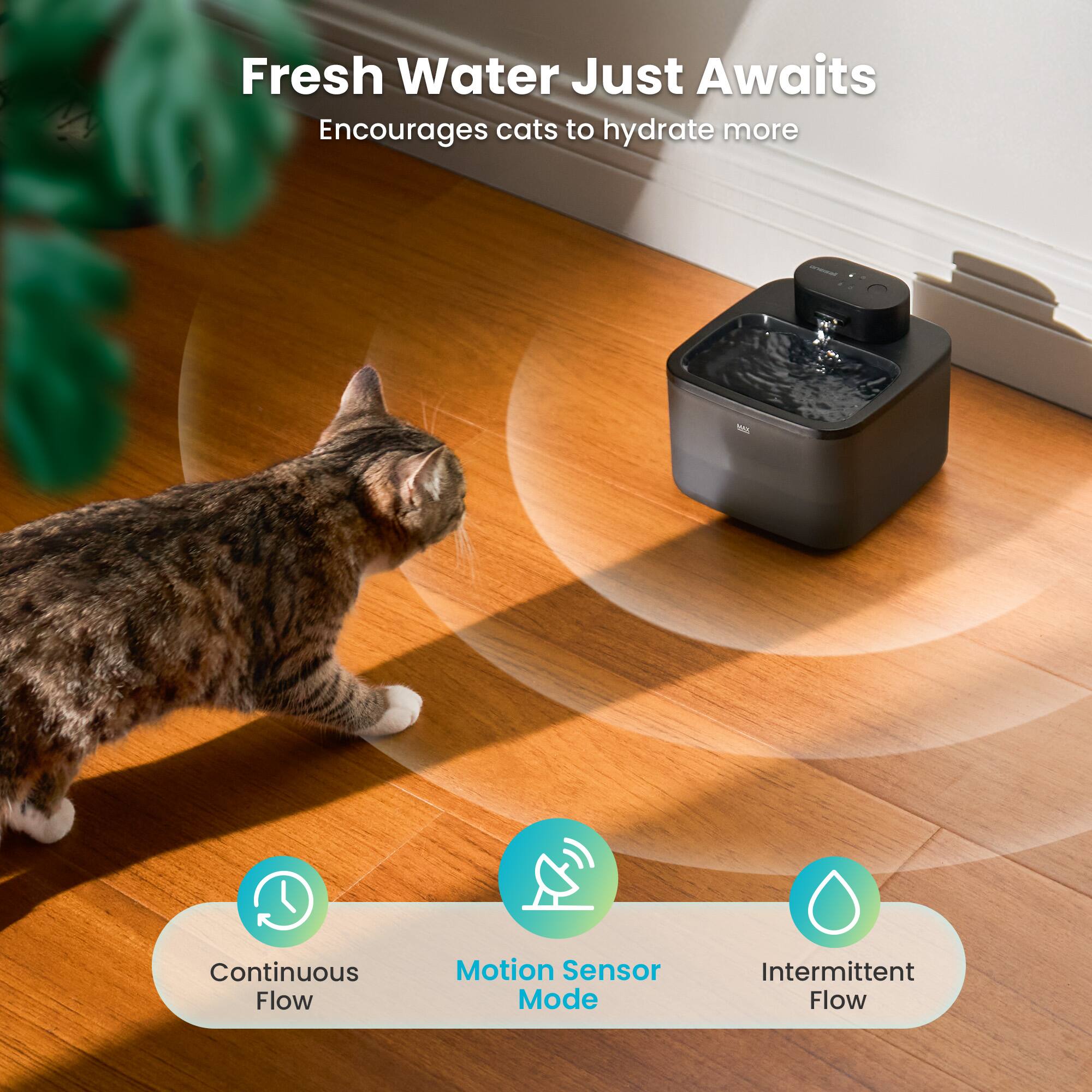 Fresh Water Just Awaits  
Encourages cats to hydrate more  

Continuous Flow  
Motion Sensor Mode  
Intermittent Flow