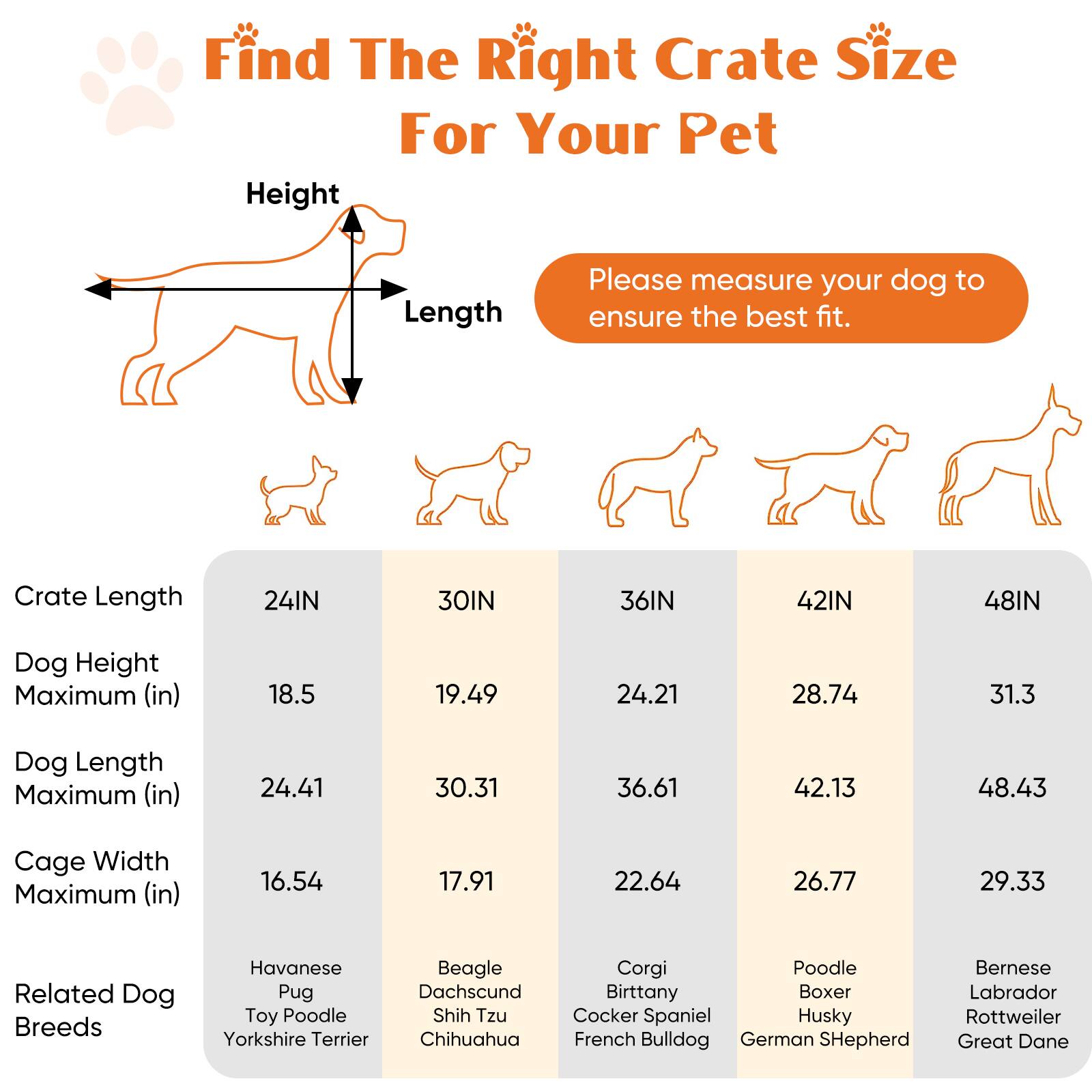 Find The Right Crate Size For Your Pet

Please measure your dog to ensure the best fit.

| Crate Length | Dog Height Maximum (in) | Dog Length Maximum (in) | Cage Width Maximum (in) | Related Dog Breeds |
|-------------|-----------------------|-----------------------|-----------------------|-------------------|
| 24IN        | 18.5                  | 24.41                 | 16.54                 | Havanese, Pug, Toy Poodle, Yorkshire Terrier |
| 30IN        | 19.49                 | 30.31                 | 17.91                 | Beagle, Dachshund, Shih Tzu, Chihuahua |
| 36IN        | 24.21                 | 36.61                 | 22.64                 | Corgi, Brittany, Cocker Spaniel, French Bulldog |
| 42IN        | 28.74                 | 42.13                 | 26.77                 | Poodle, Boxer, Husky, German Shepherd |
| 48IN        | 3