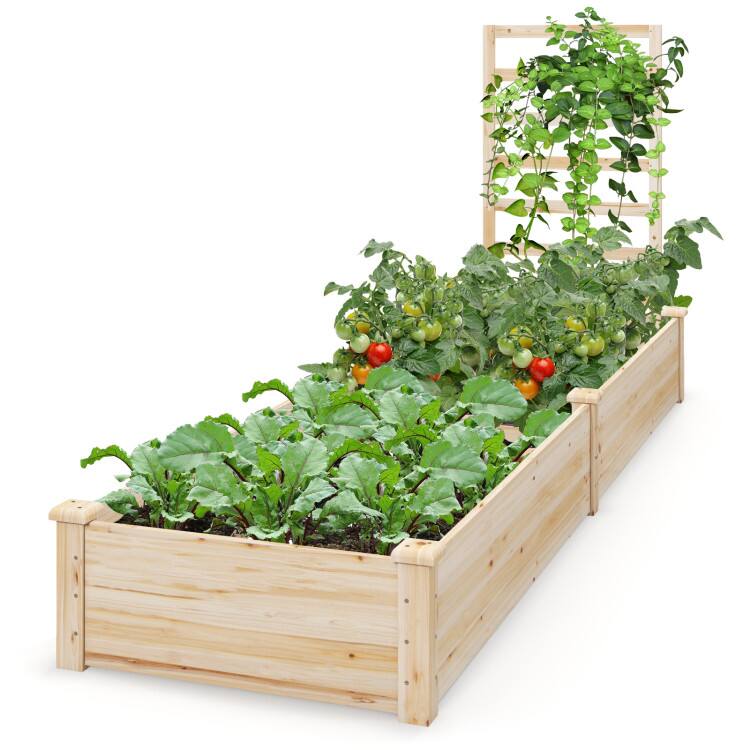 Alt View 3. Mondawe - Raised Garden Bed with Planter Box and Trellis for Climbing Plants, 2 Compartments - Light/Pastel Brown.