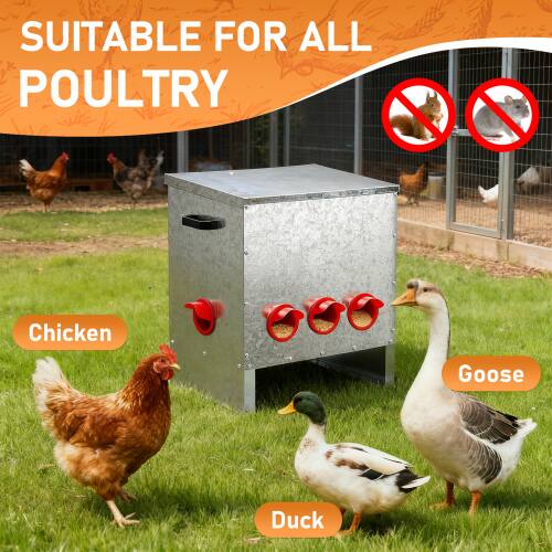SUITABLE FOR ALL POULTRY

Chicken  
Goose  
Duck