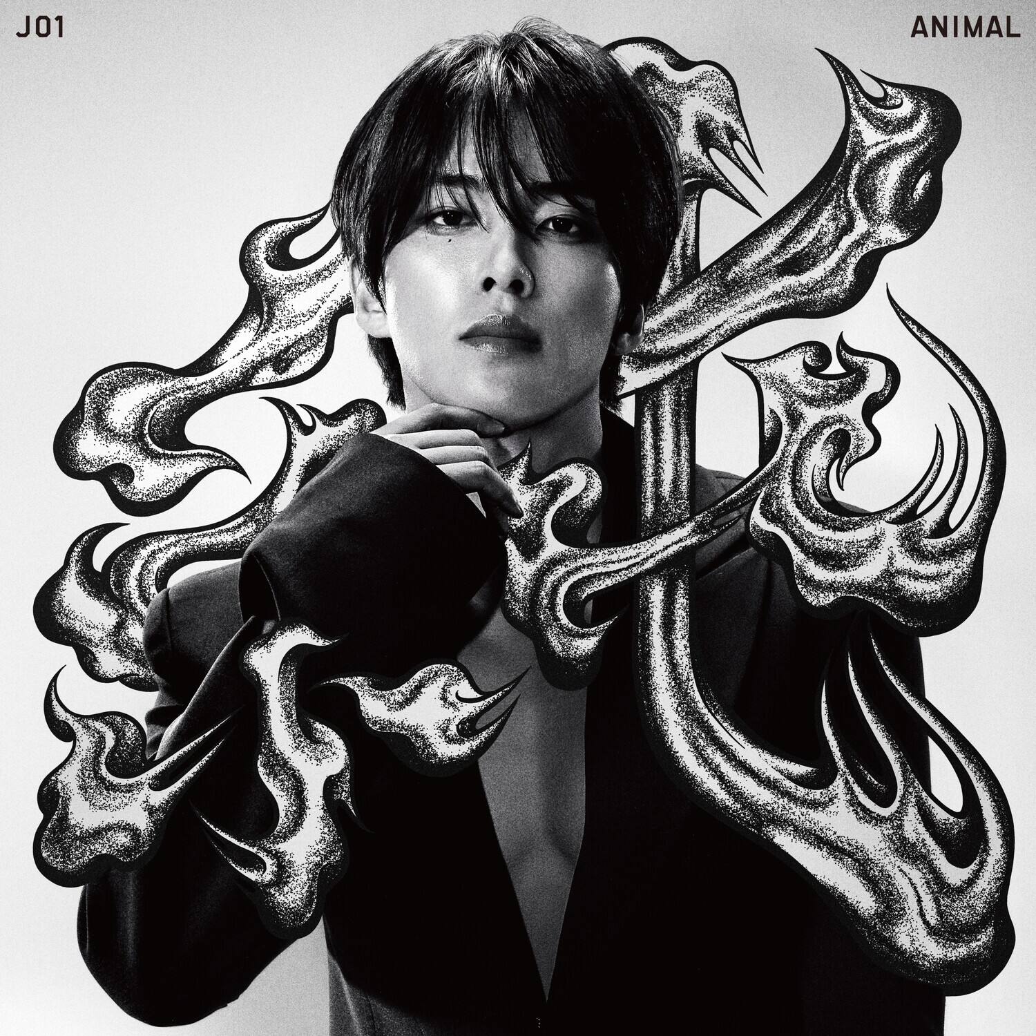 J01  
ANIMAL