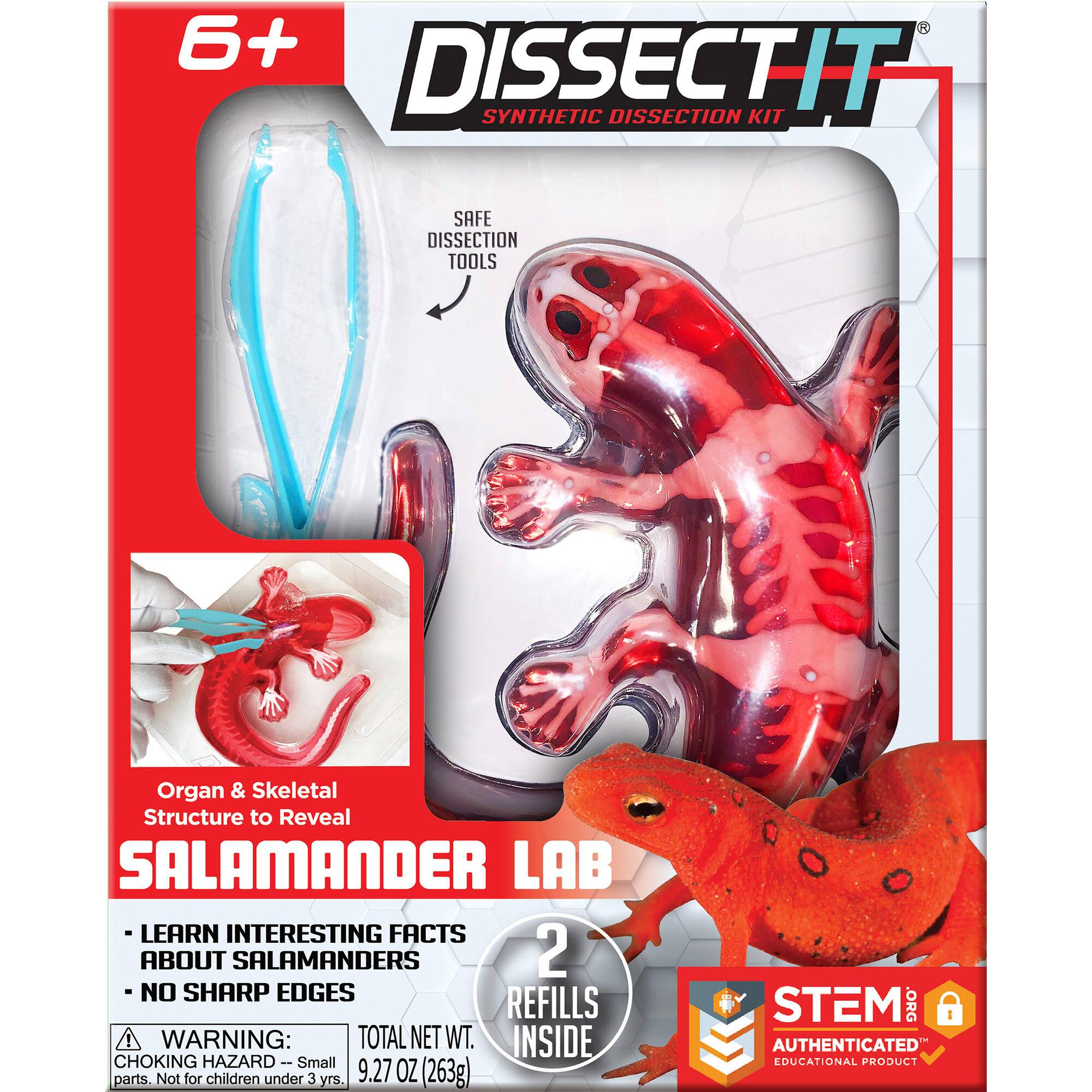 The text on the image reads:

"6+ DISSECTIT SYNTHETIC DISSECTION KIT SAFE DISSECTION TOOLS Organ & Skeletal Structure to Reveal SALAMANDER LAB LEARN INTERESTING FACTS ABOUT SALAMANDERS 2 - NO SHARP EDGES REFILLS WARNING: TOTAL NET WT. INSIDE CHOKING HAZARD- : Small parts. Not for children under 3 yrs. 9.27 OZ (263g) - STEM .ORG 1 AUTHENTICATED EDUCATIONAL PRODUCT"
