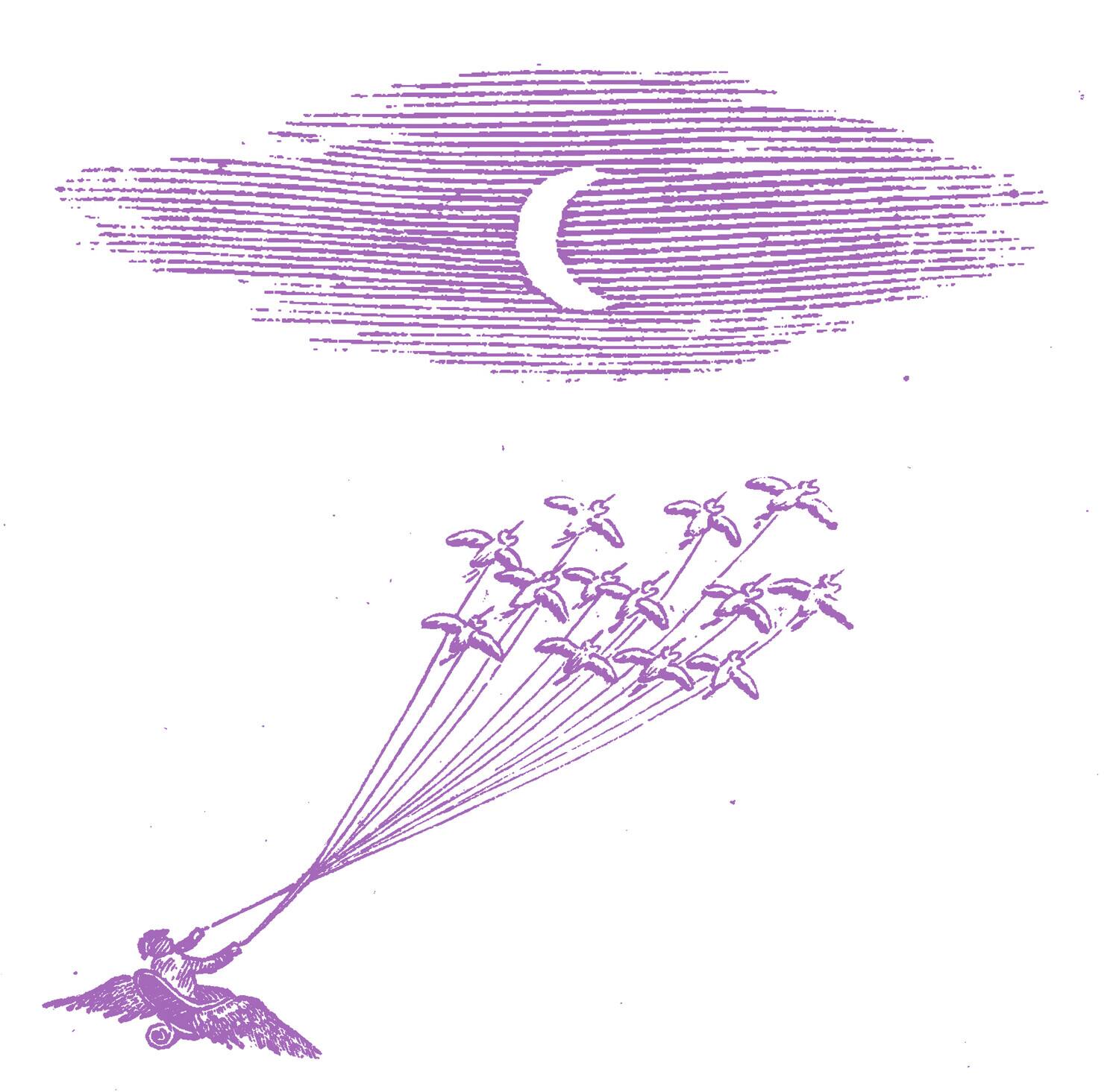 Front. Feeling Figures - Migration Magic   - VINYL LP.