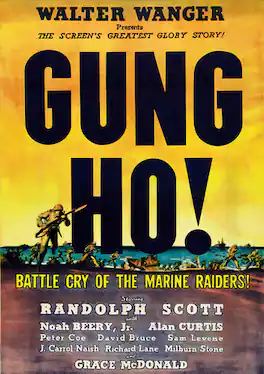 Gung Ho! - DVD