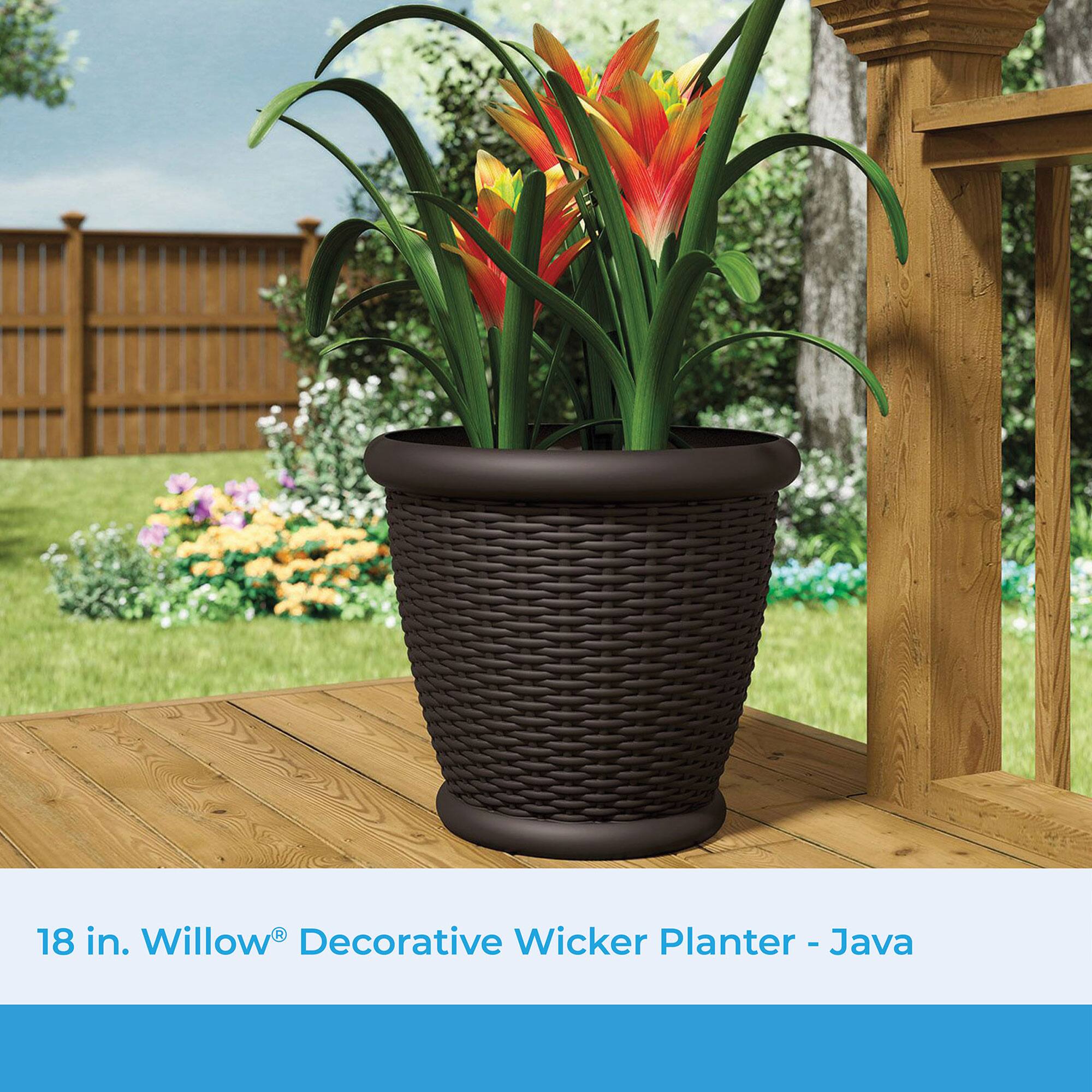 18 in. Willow® Decorative Wicker Planter - Java