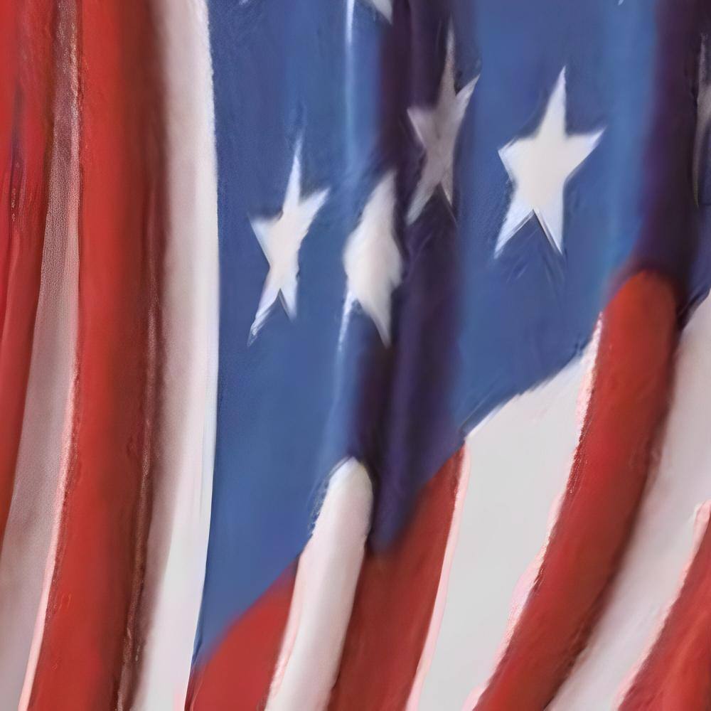 Alt View 2. Noble House - Plazatex American Flag Micro plush Decorative All Season Multi Color 50" X 70" Throw Blanket - Multi.