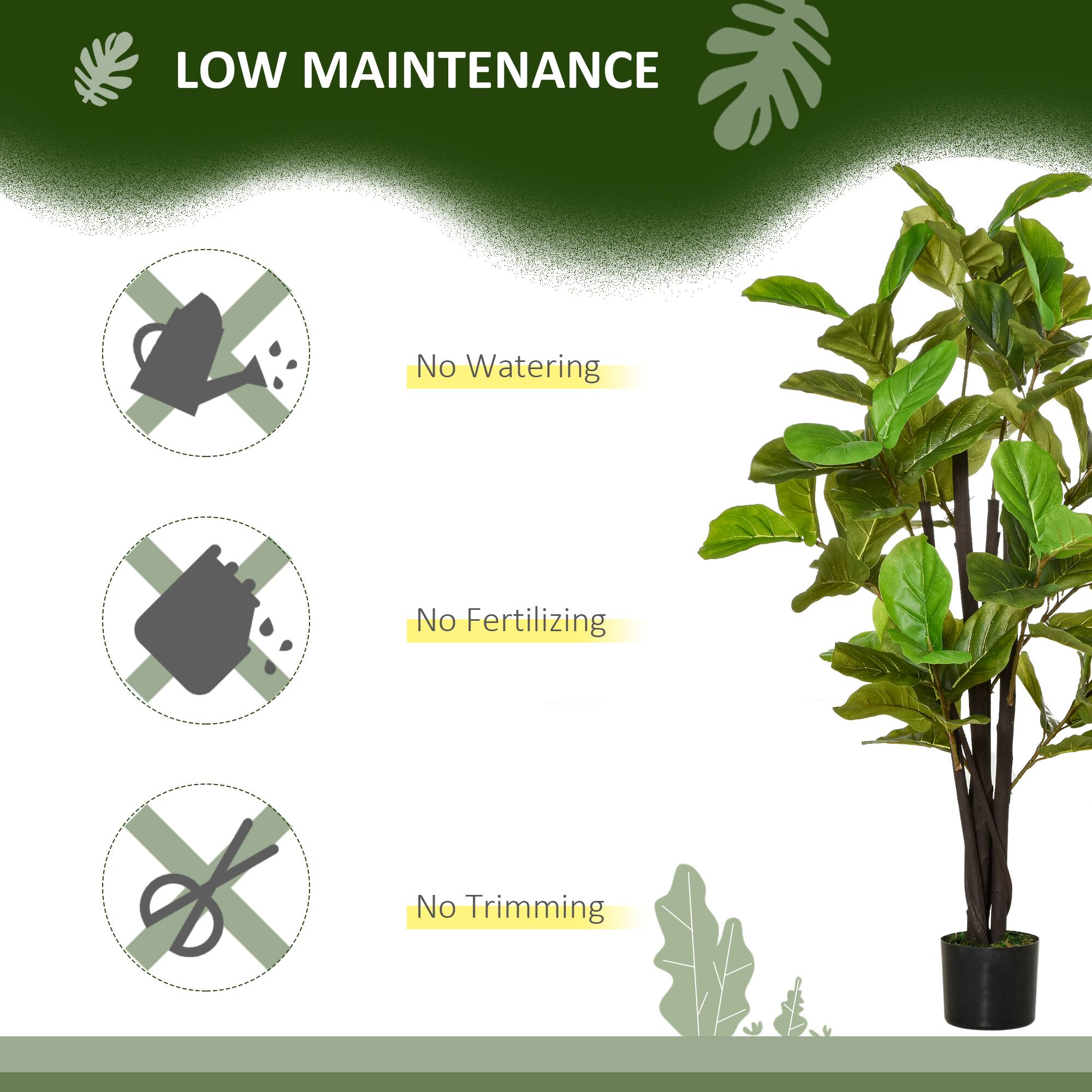 LOW MAINTENANCE

- No Watering
- No Fertilizing
- No Trimming