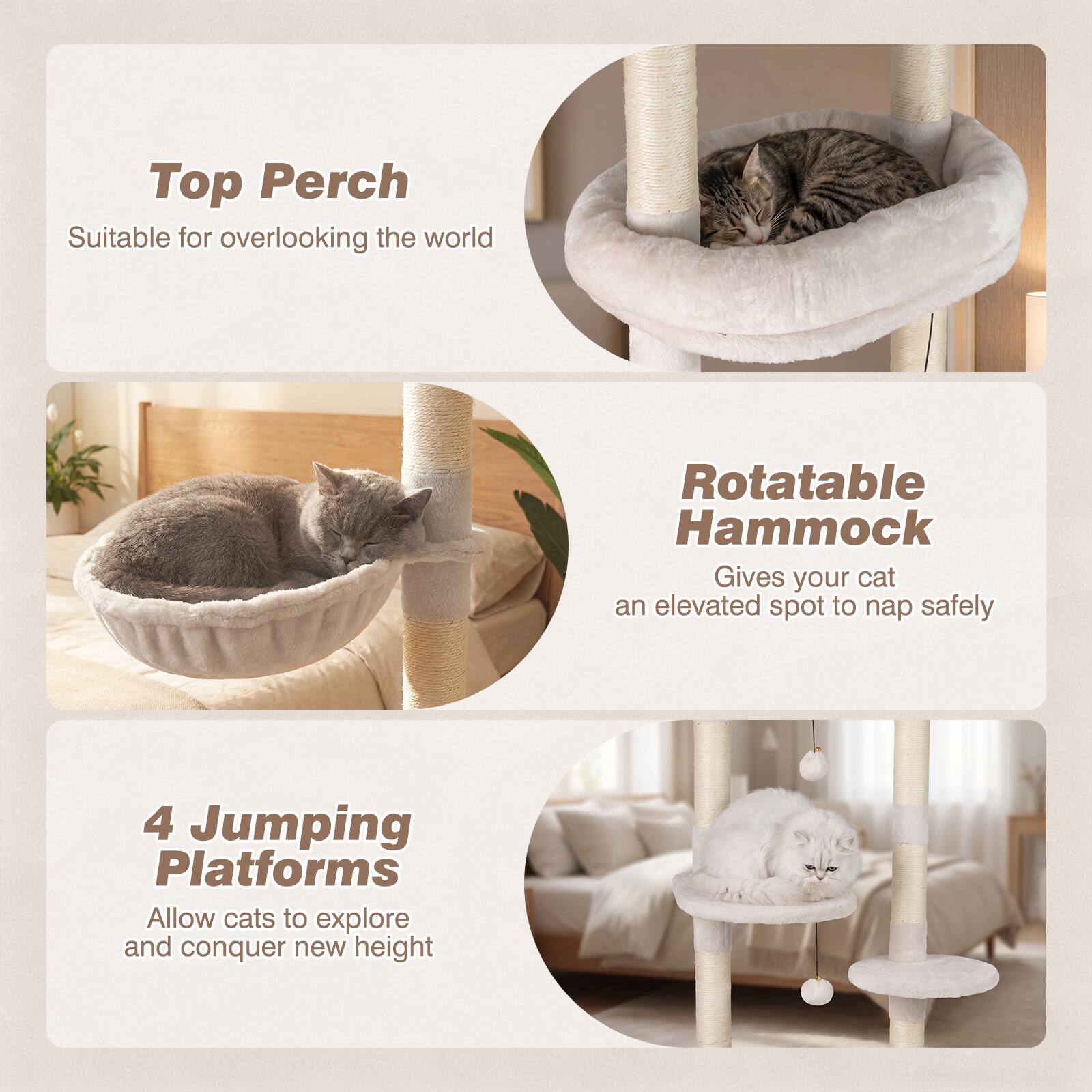 Top Perch  
Suitable for overlooking the world  

Rotatable Hammock  
Gives your cat an elevated spot to nap safely  

4 Jumping Platforms  
Allow cats to explore and conquer new heights